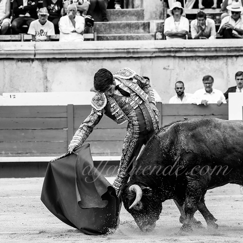 09142019006 alfaduende p58a5400 nimes copie