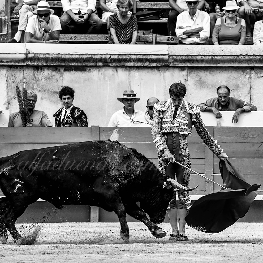 09142019008 alfaduende p58a5676 nimes copie