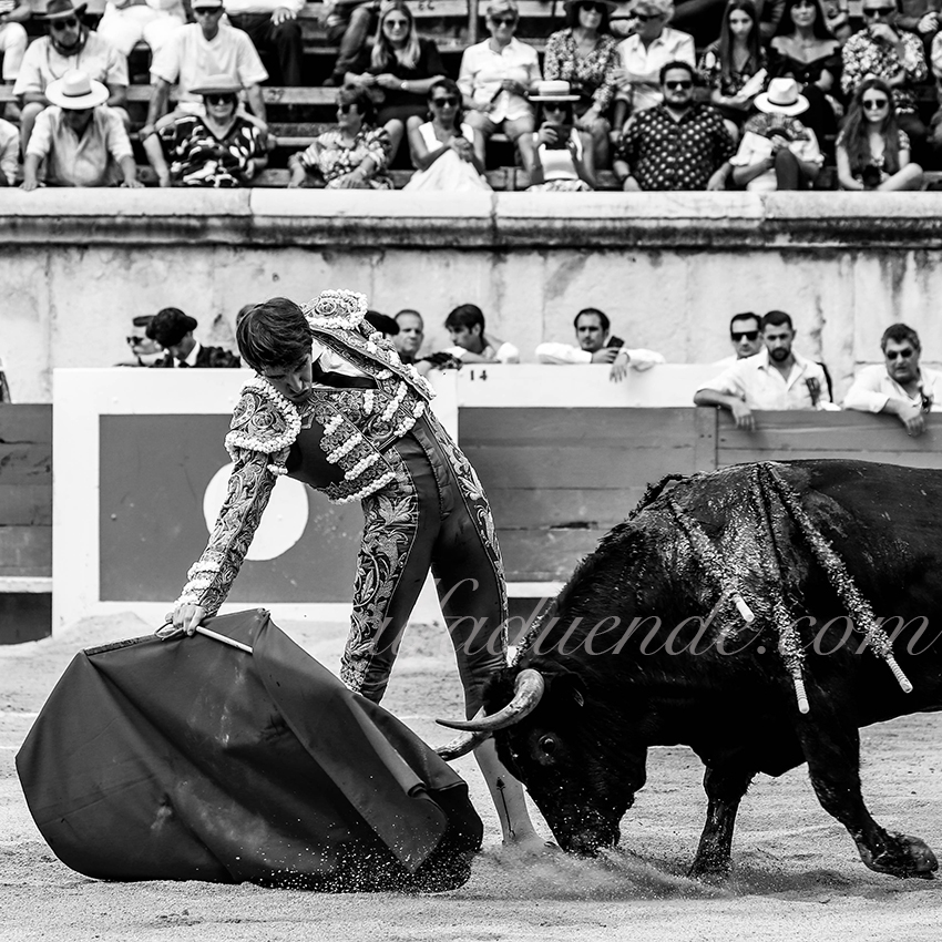 09142019009 alfaduende p58a5680 nimes copie