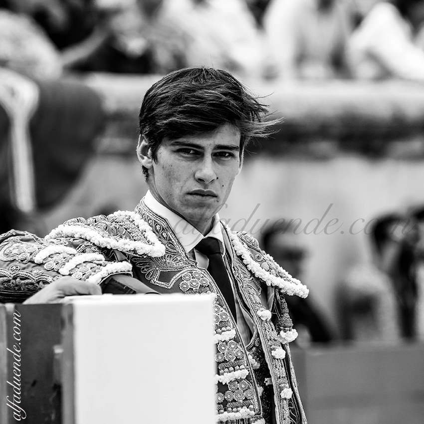 09142019010 alfaduende p58a5884 nimes copie