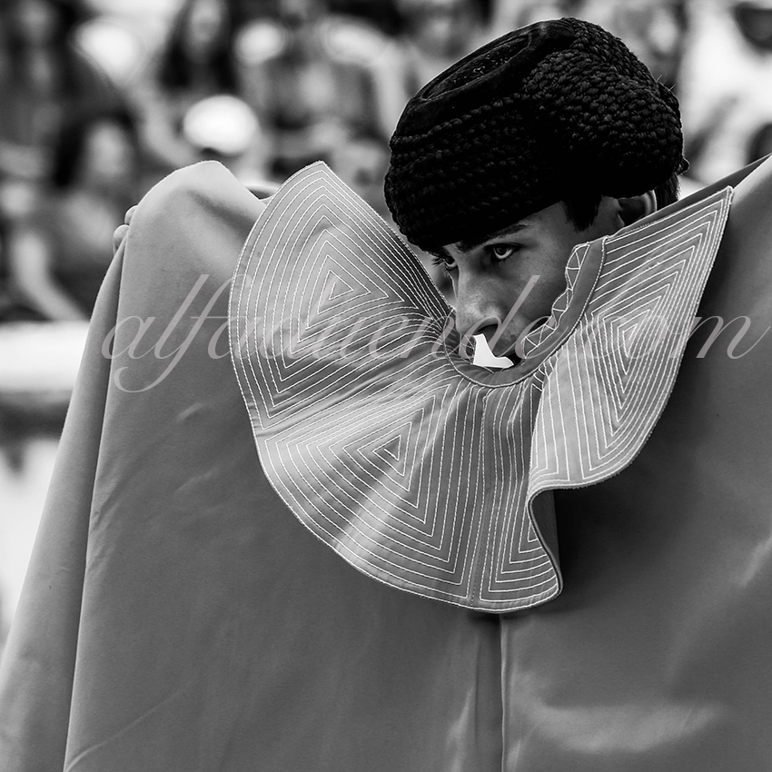 09142019011 alfaduende p58a4732 nimes copie