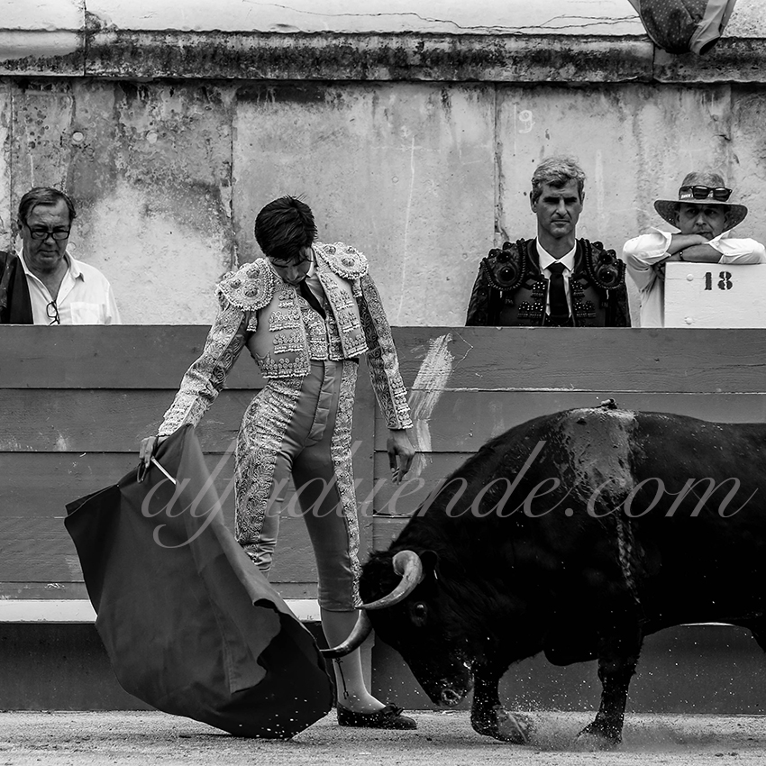 09142019015 alfaduende p58a4976 nimes copie