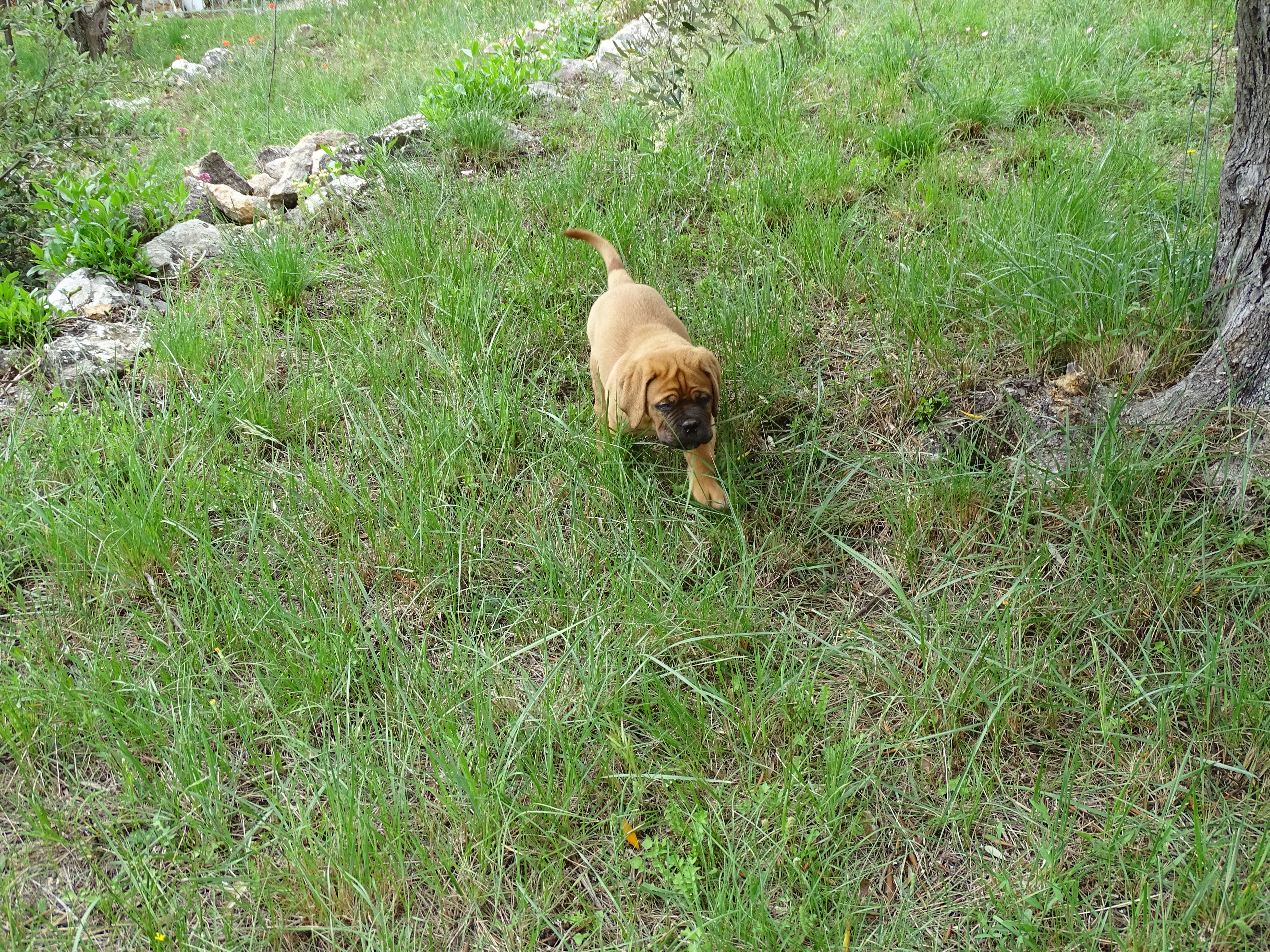 DSC00383