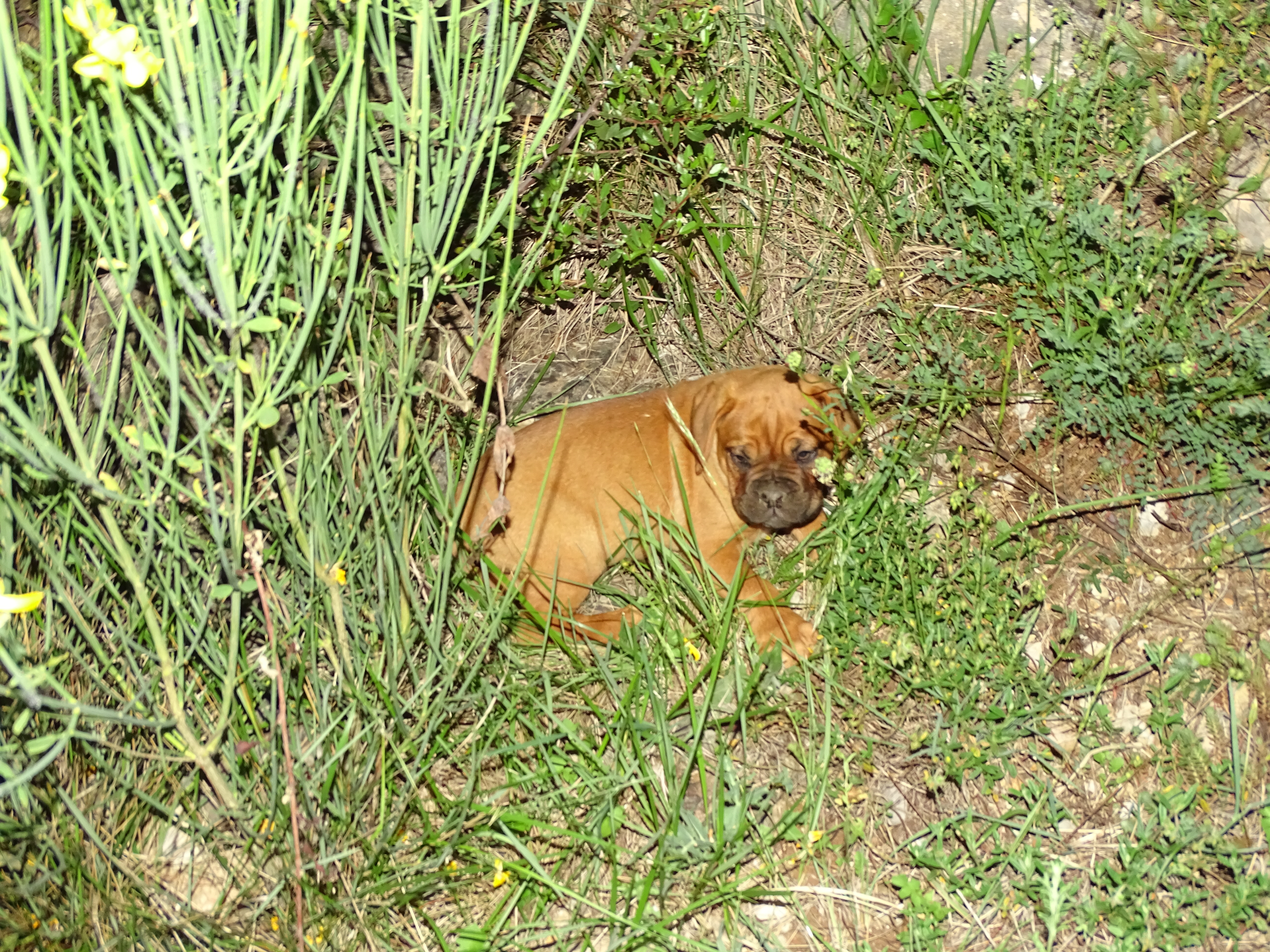 DSC00399
