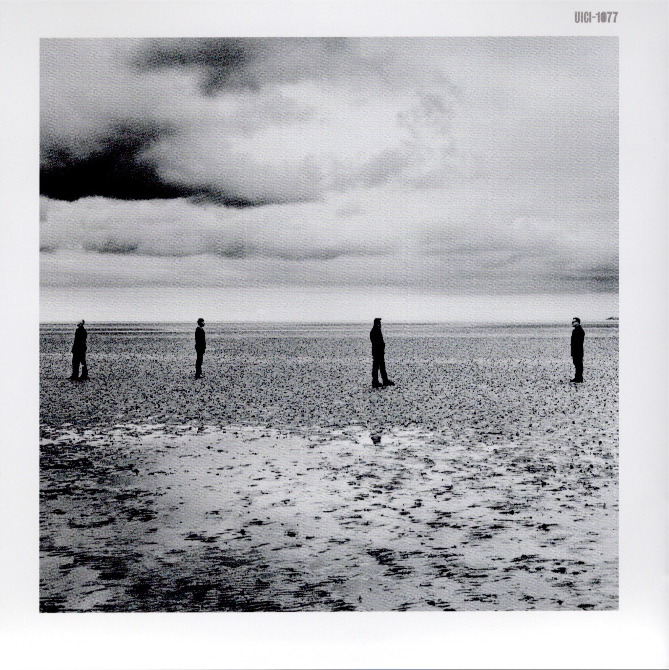 Soi ja uicy 79042 insert 