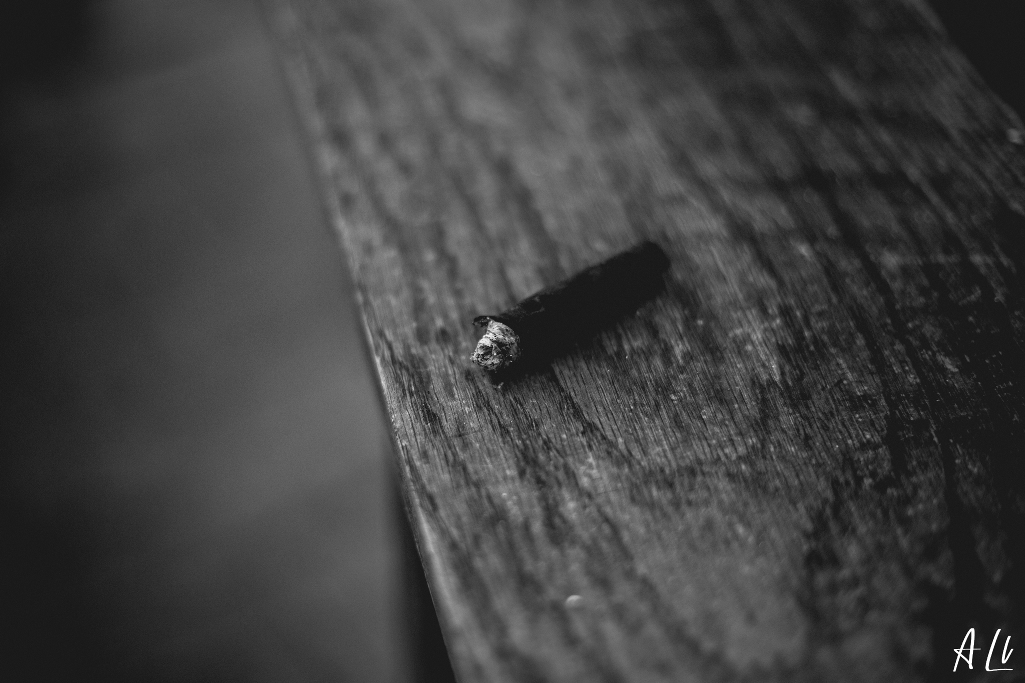 IMG 3152-2048