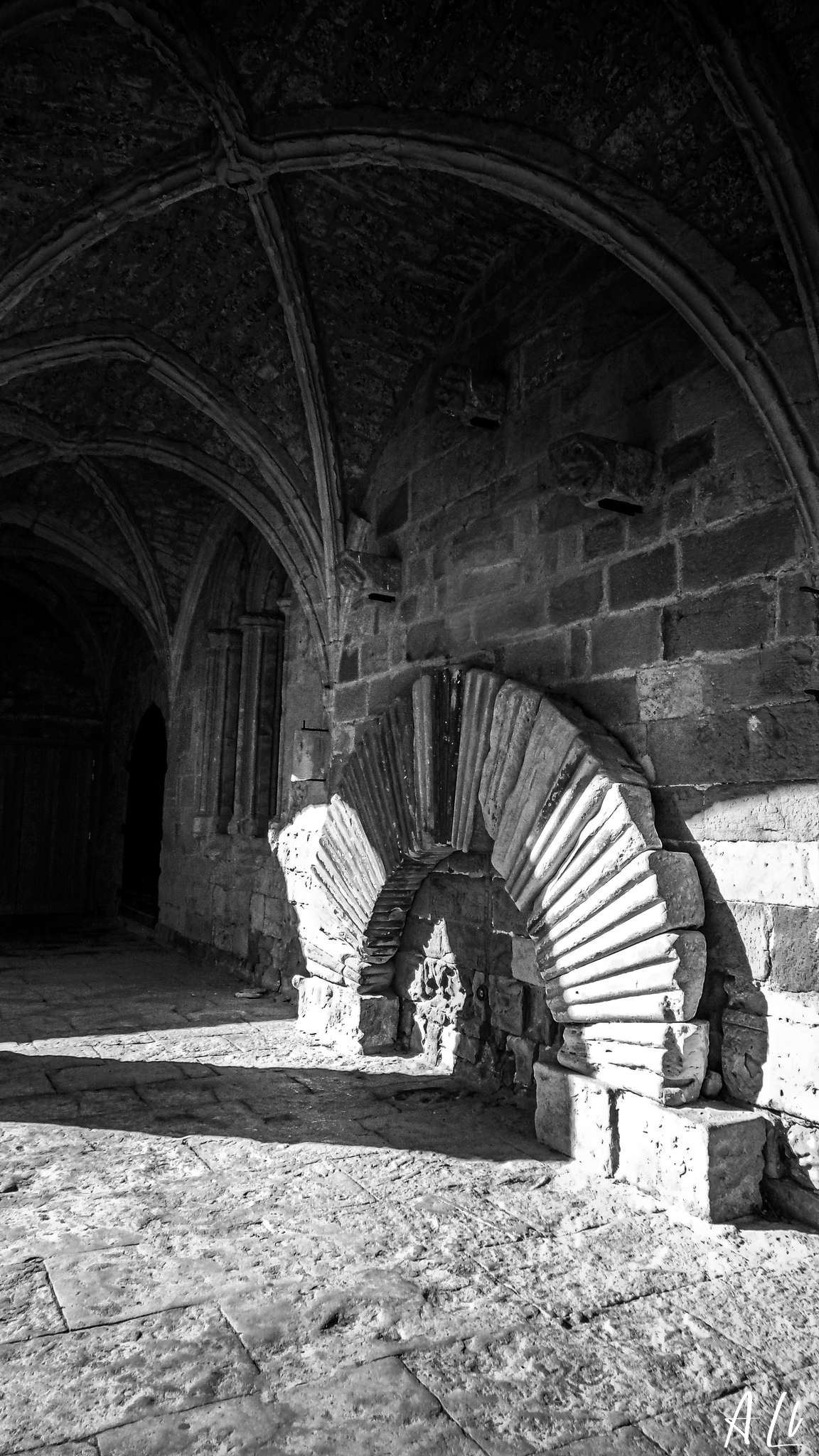 20150208 123723-Edit-2048