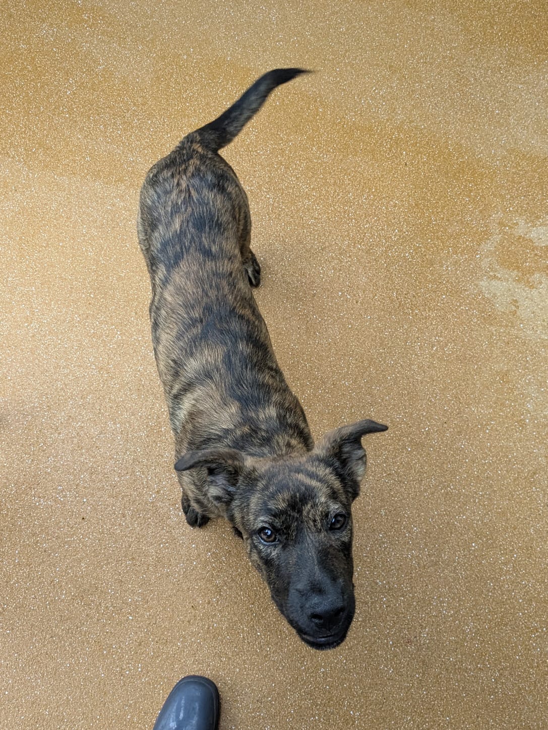 Whatsapp image 2025 06 12 at 09 58 22