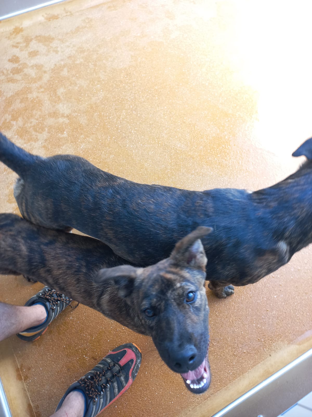 Whatsapp image 2025 06 13 at 16 18 03