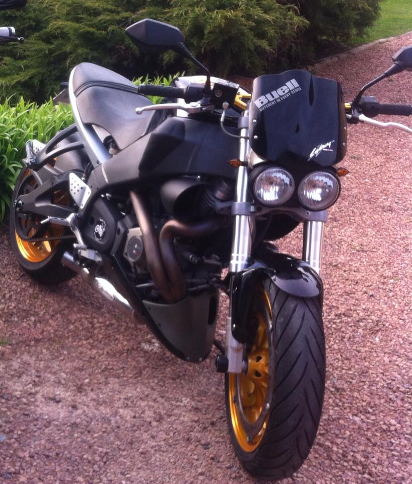 10726573 717509578325807 1528589649 n