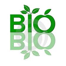 Bio 1