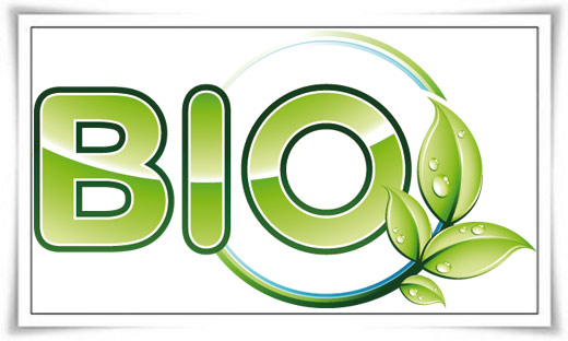 Bio