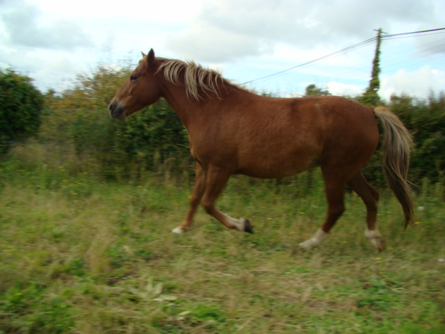 Dsc00890