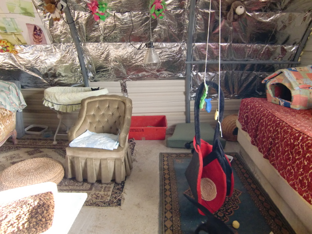 Cabanette