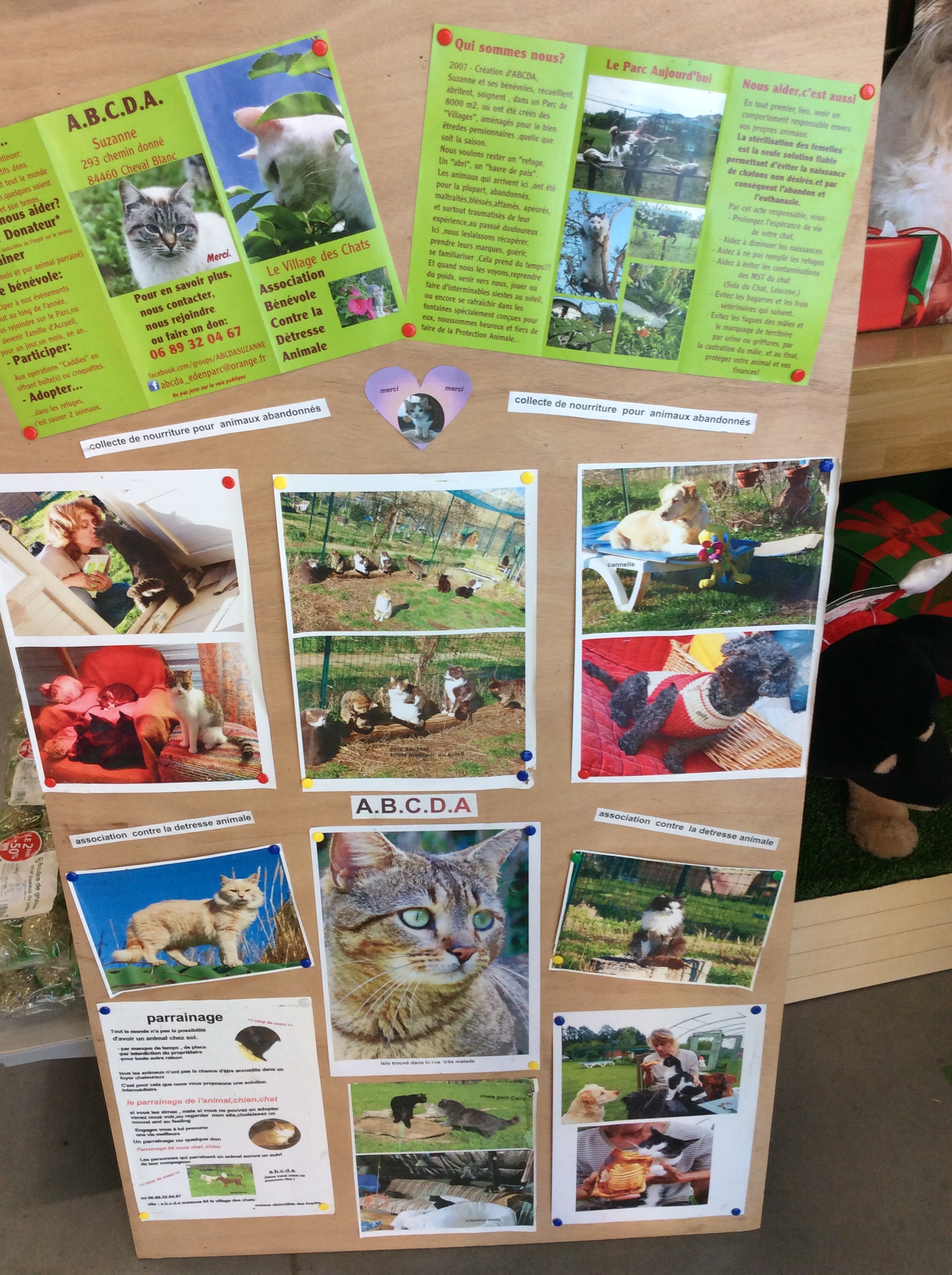 D4v3q abcda decembre 2015 004