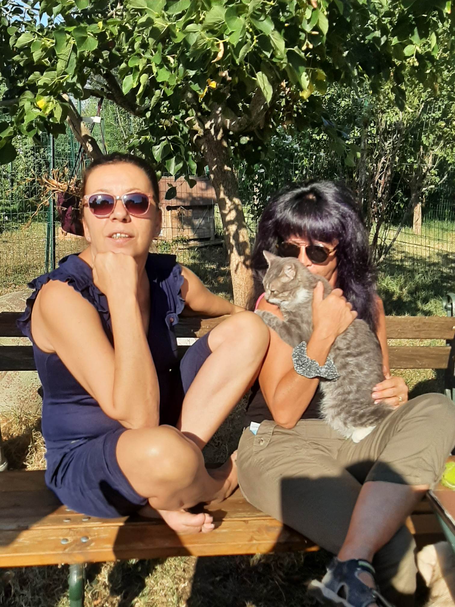 Ve ro et armel