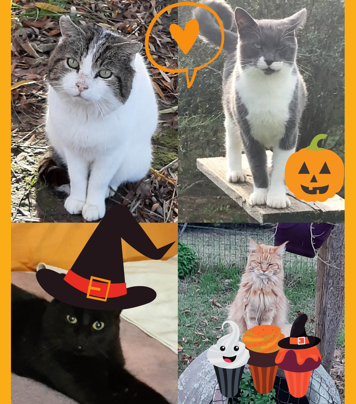 Happy Halloween