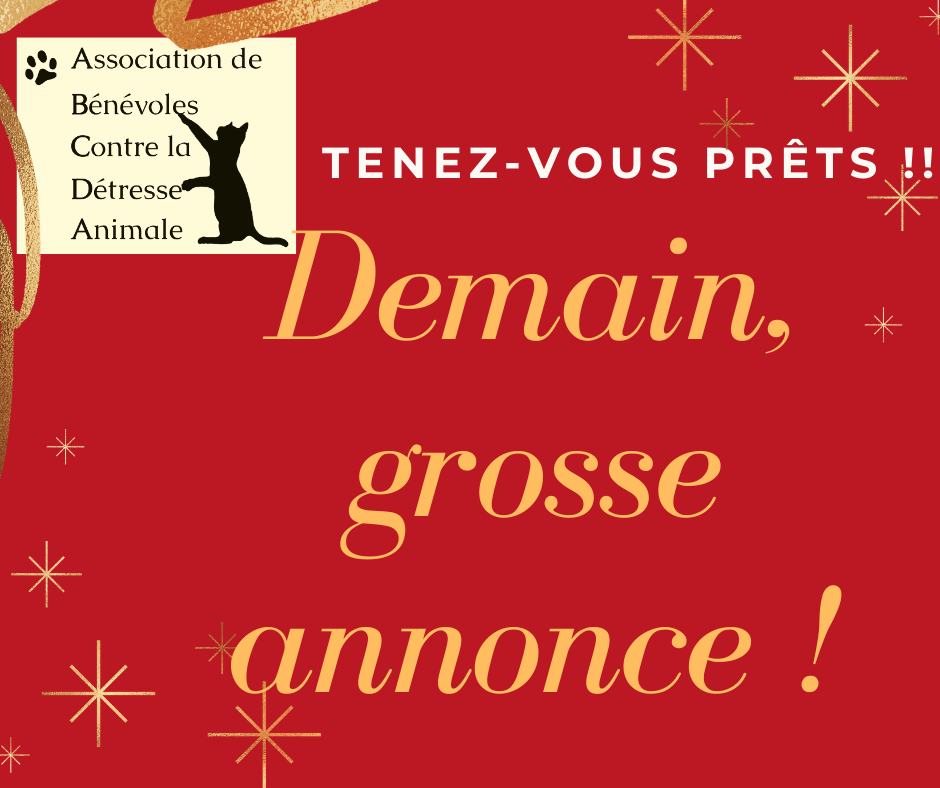 Demain, grosse annonce ! Tenez-vous prêts !