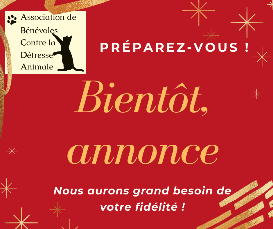 Un évènement se prépare..!