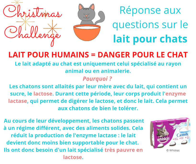 ✨ CHRISTMAS CHALLENGE - 𝕃𝕒𝕚𝕥 𝕡𝕠𝕦𝕣 𝕔𝕙𝕒𝕥𝕤 🥛