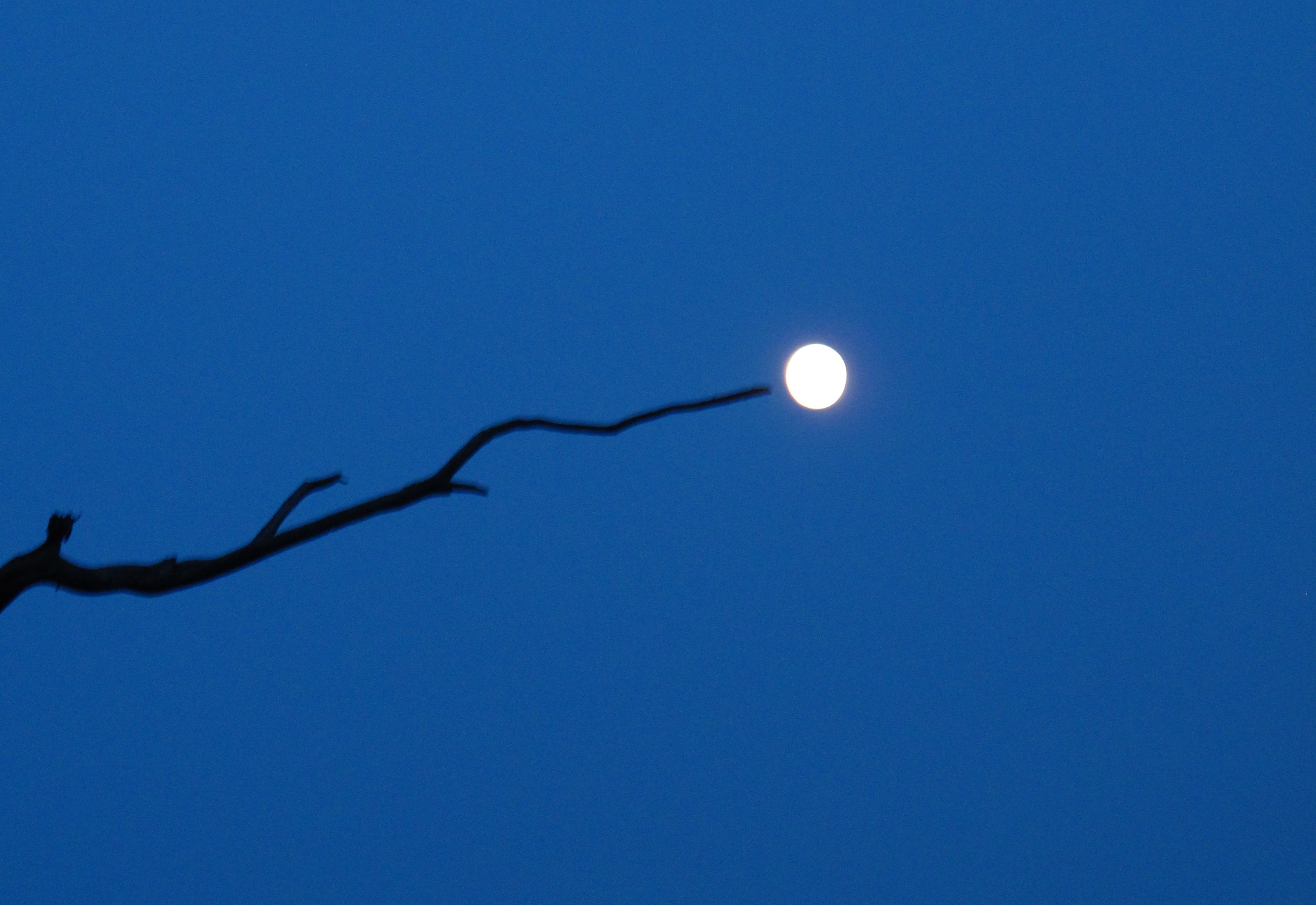 Pointer la lune