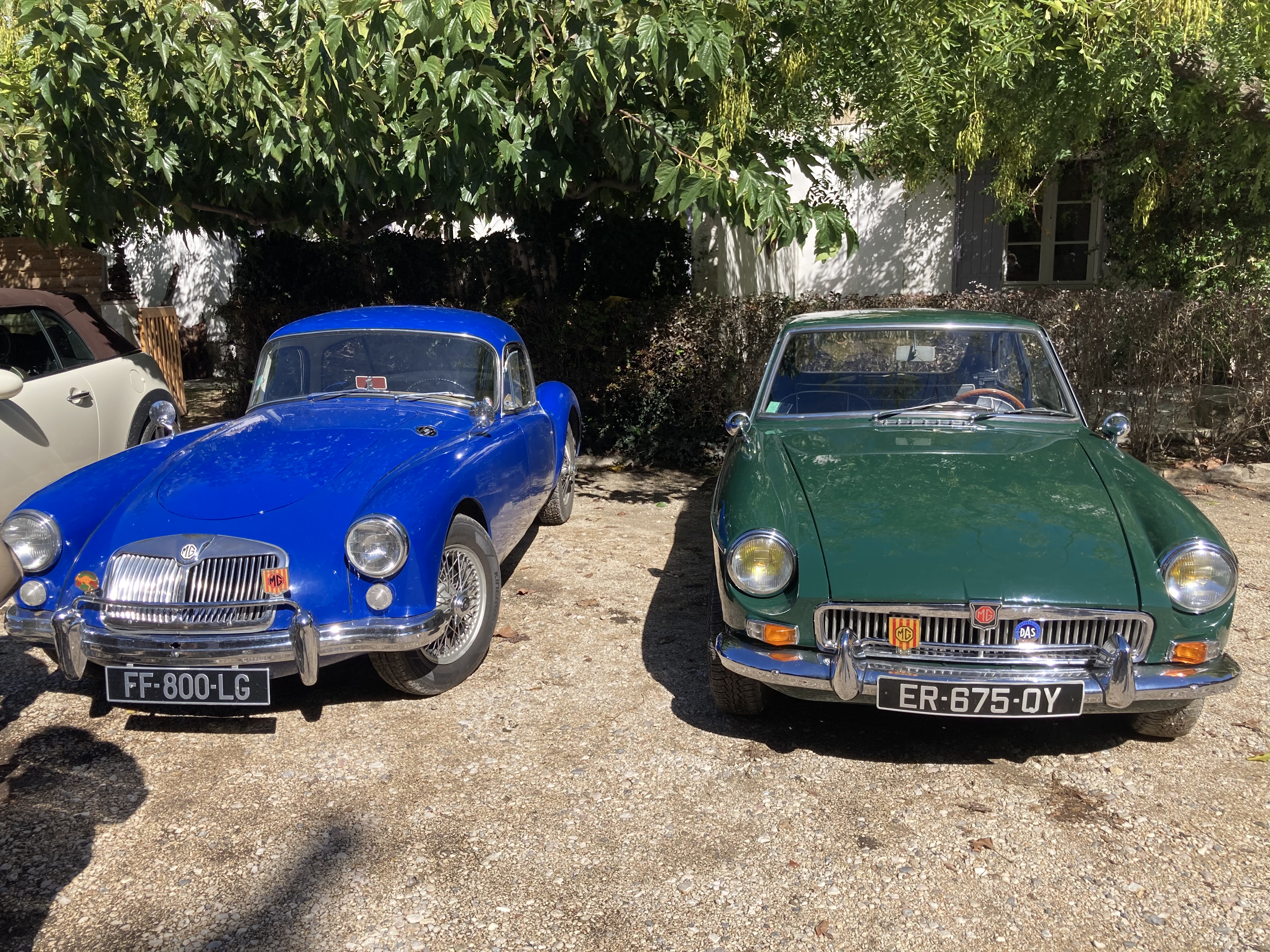 MGA - MGB