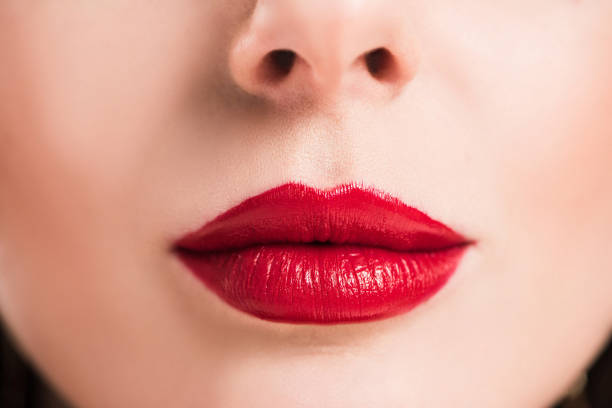 Istockphoto 923795630 612x612