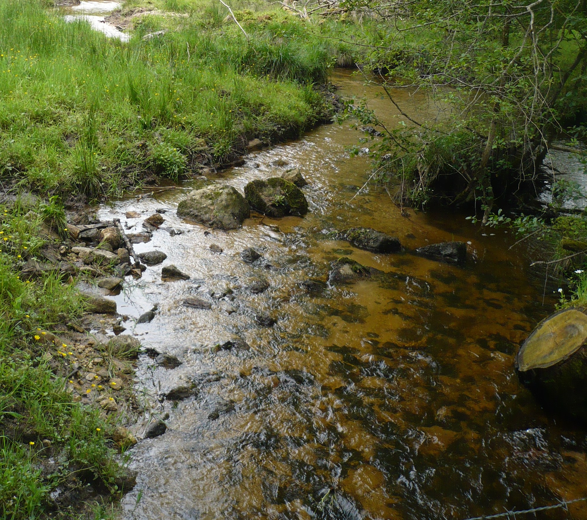 Ruisseau2
