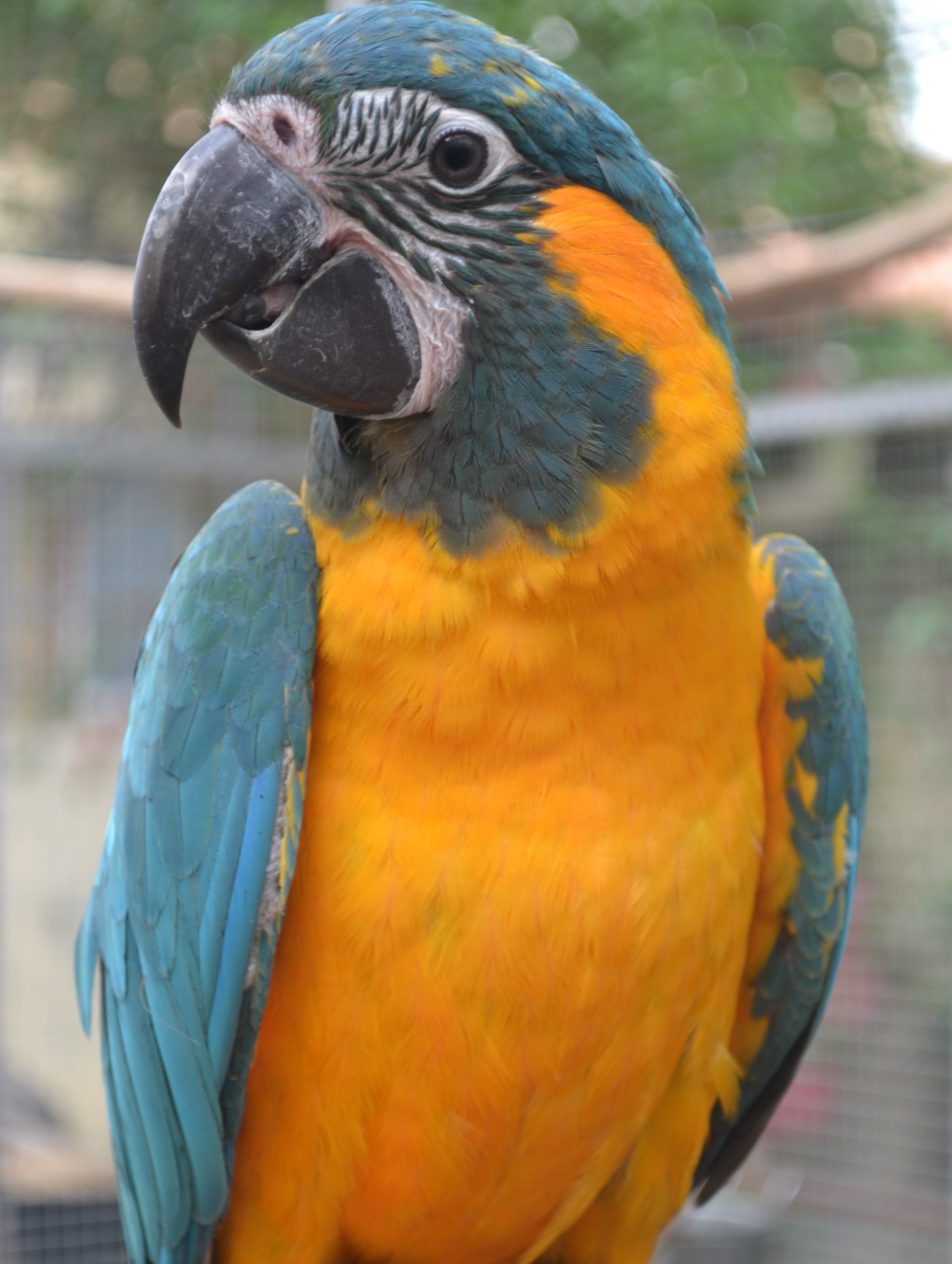 Dsc 0047
