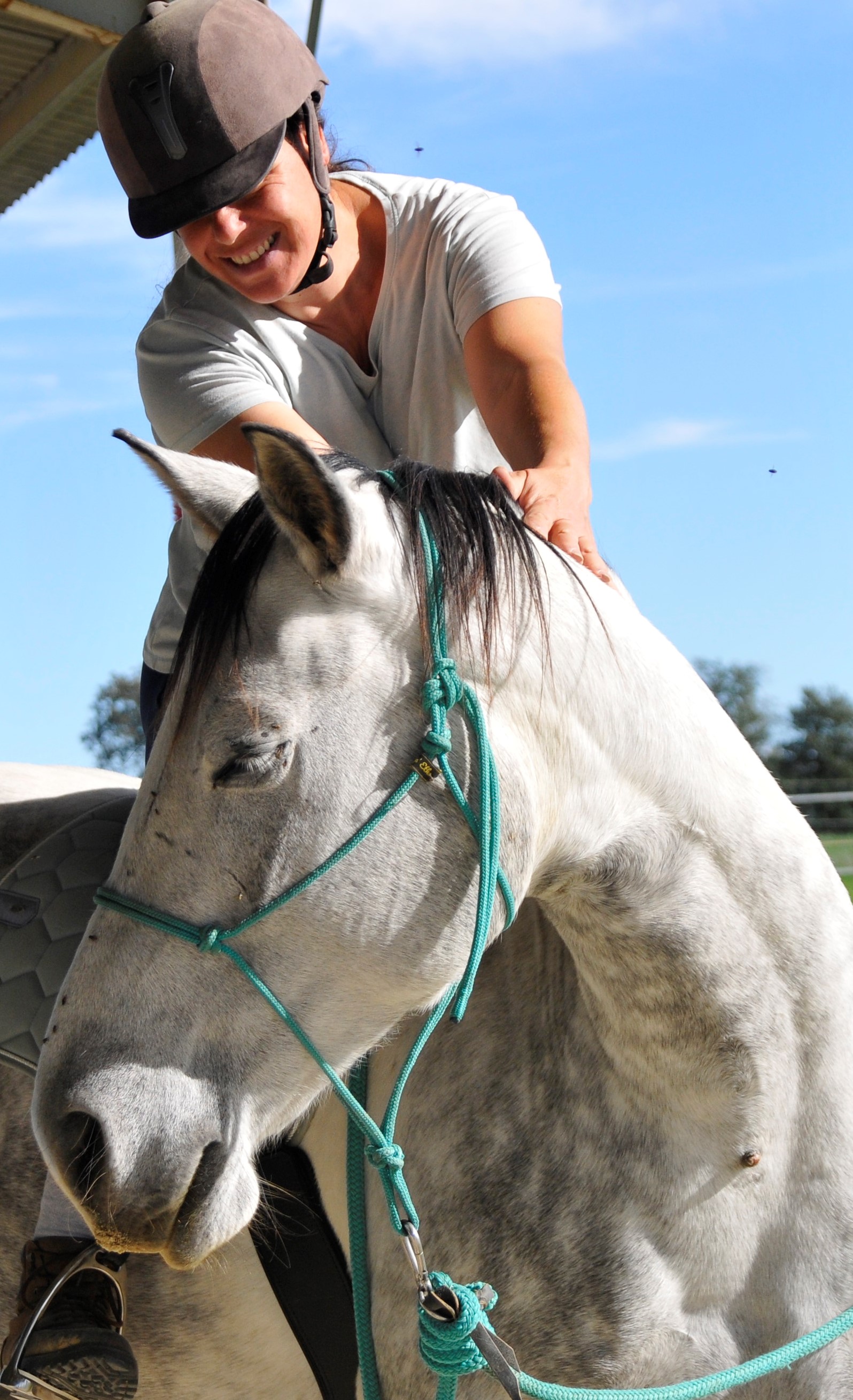  LOU8743-2-