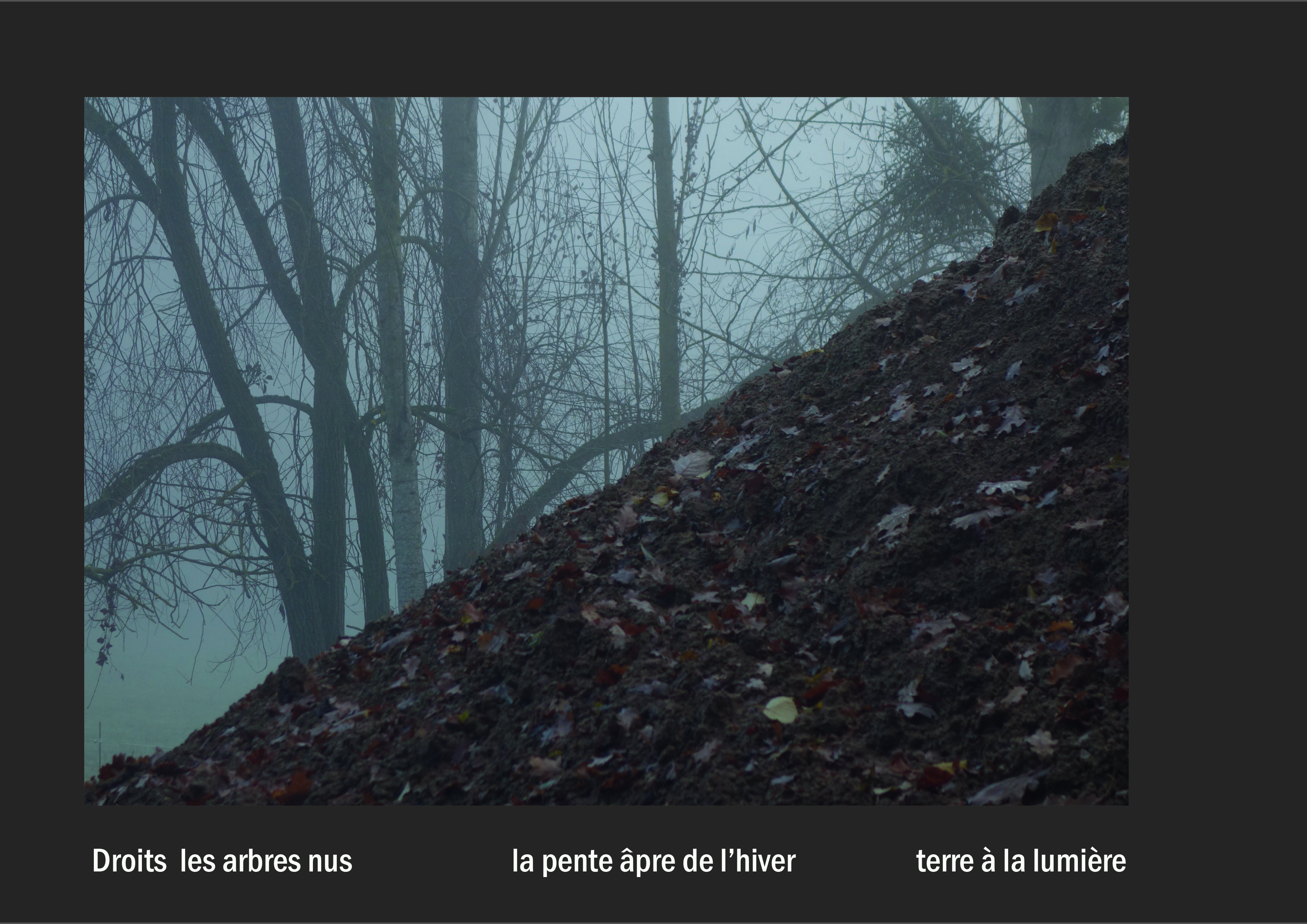 Cent vues du mont hitachi 2 web site33