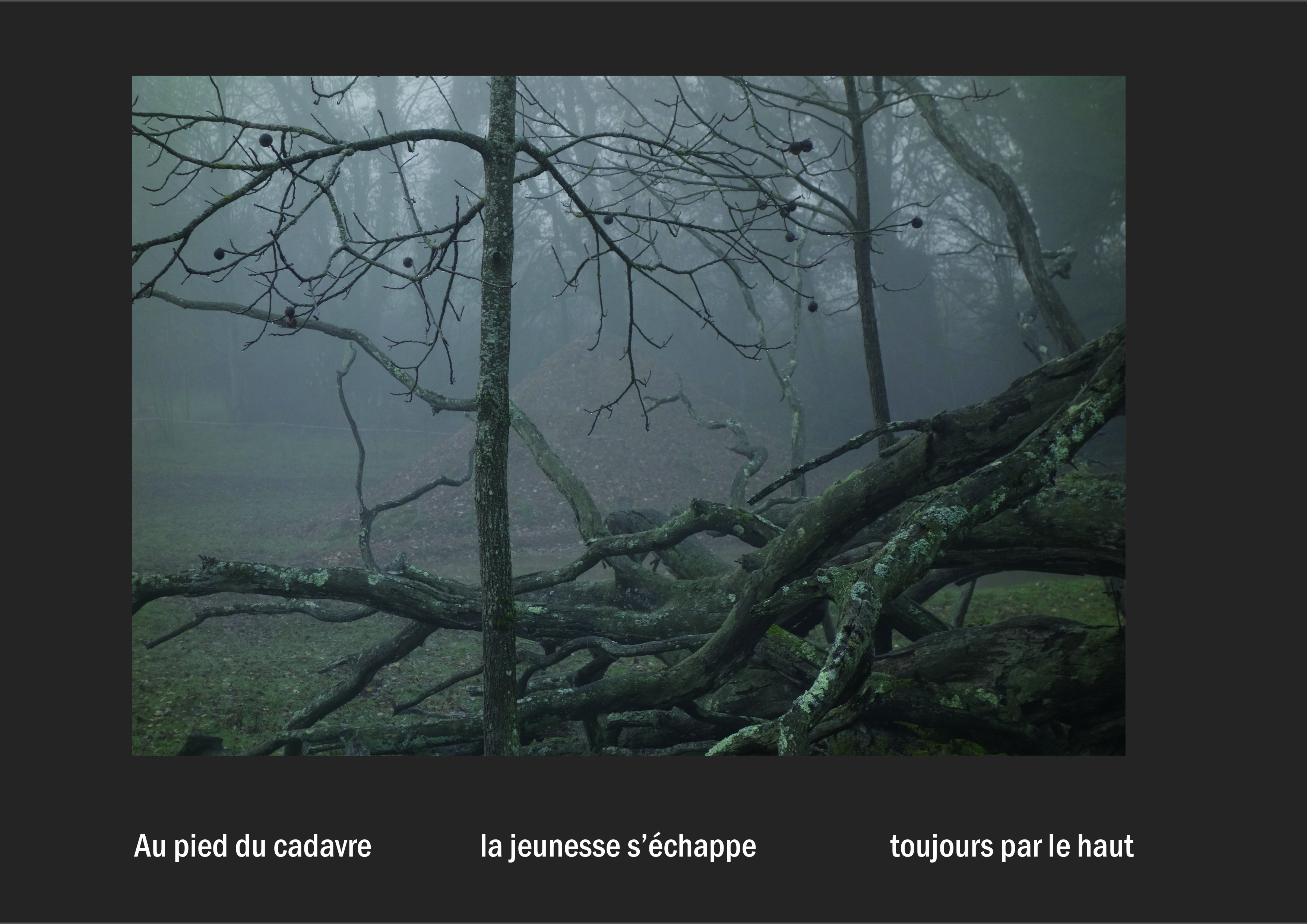 Cent vues du mont hitachi 2 web site31