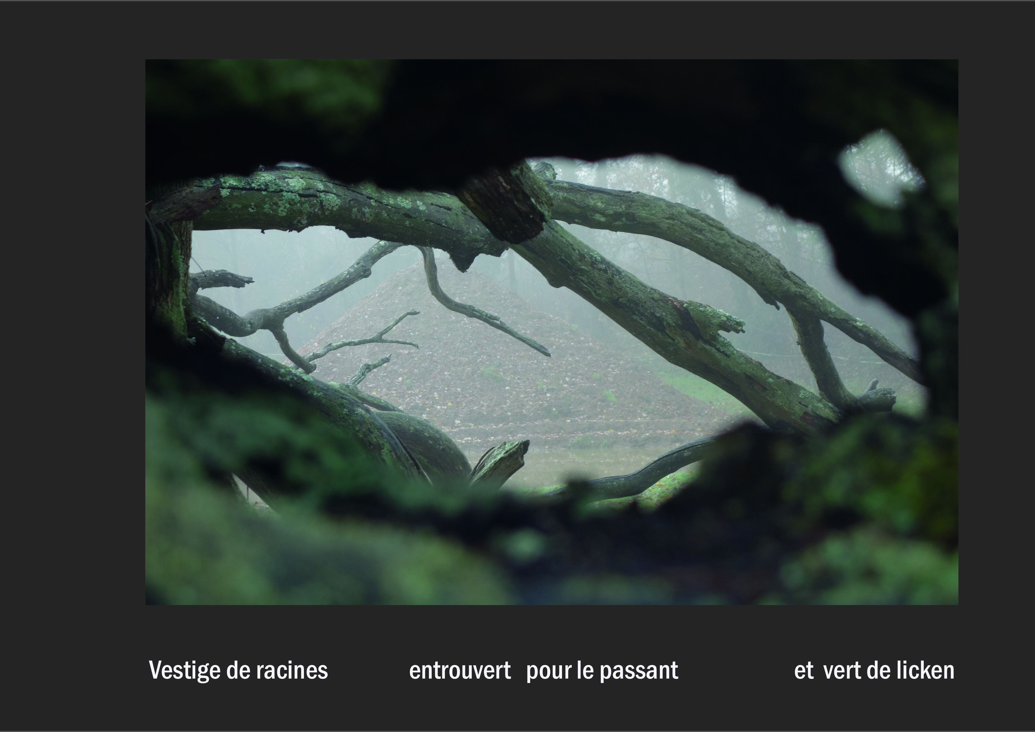 Cent vues du mont hitachi 2 web site30