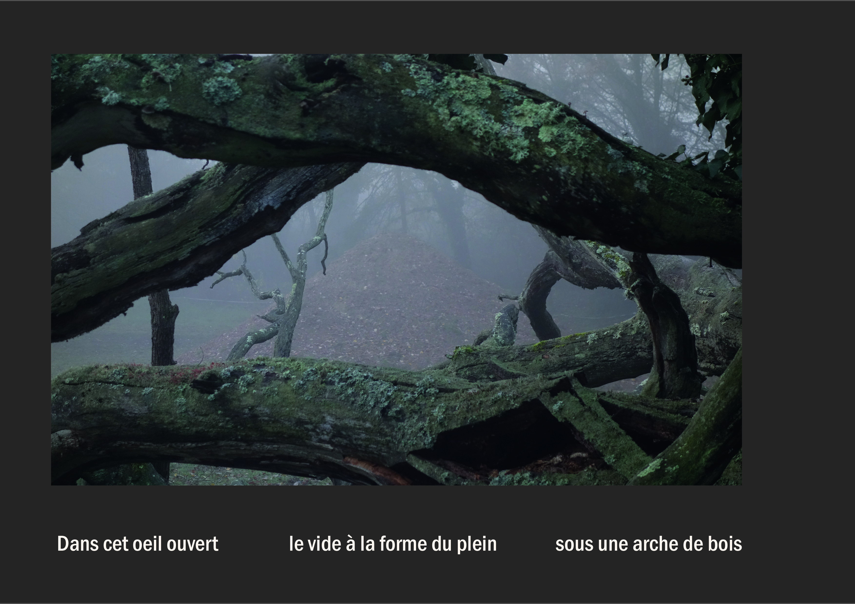 Cent vues du mont hitachi 2 web site29