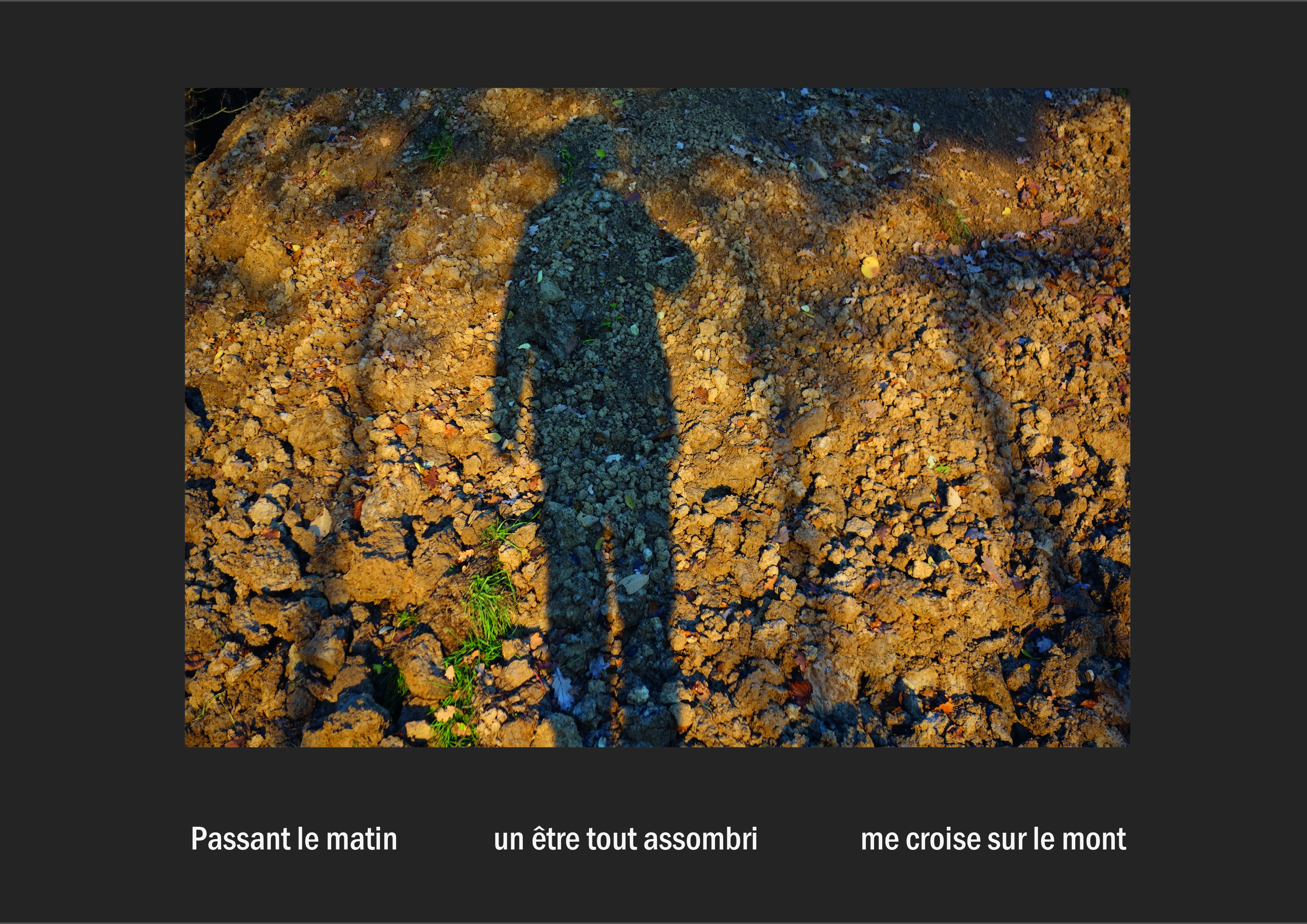 Cent vues du mont hitachi 2 web site22