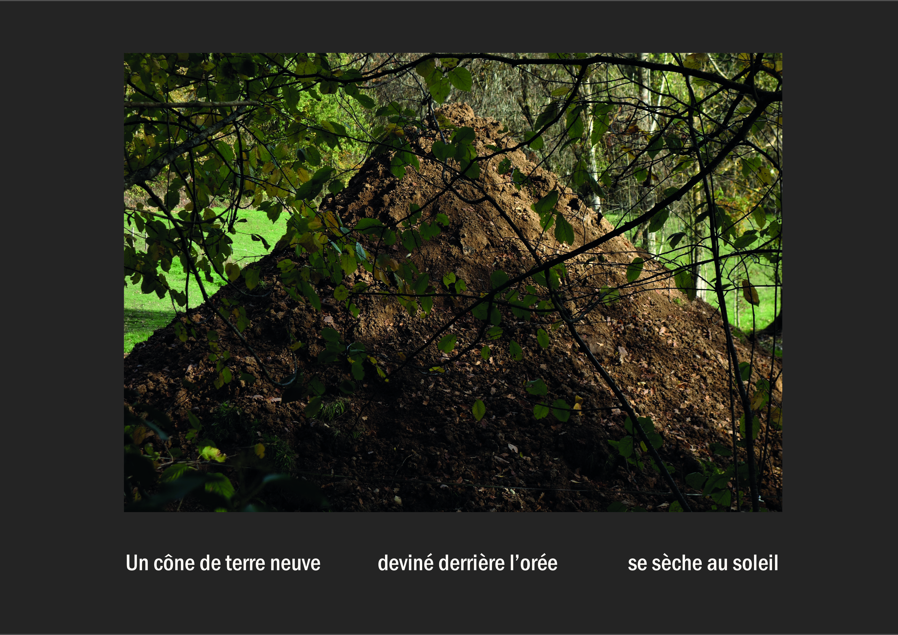 Cent vues du mont hitachi 2 web site20