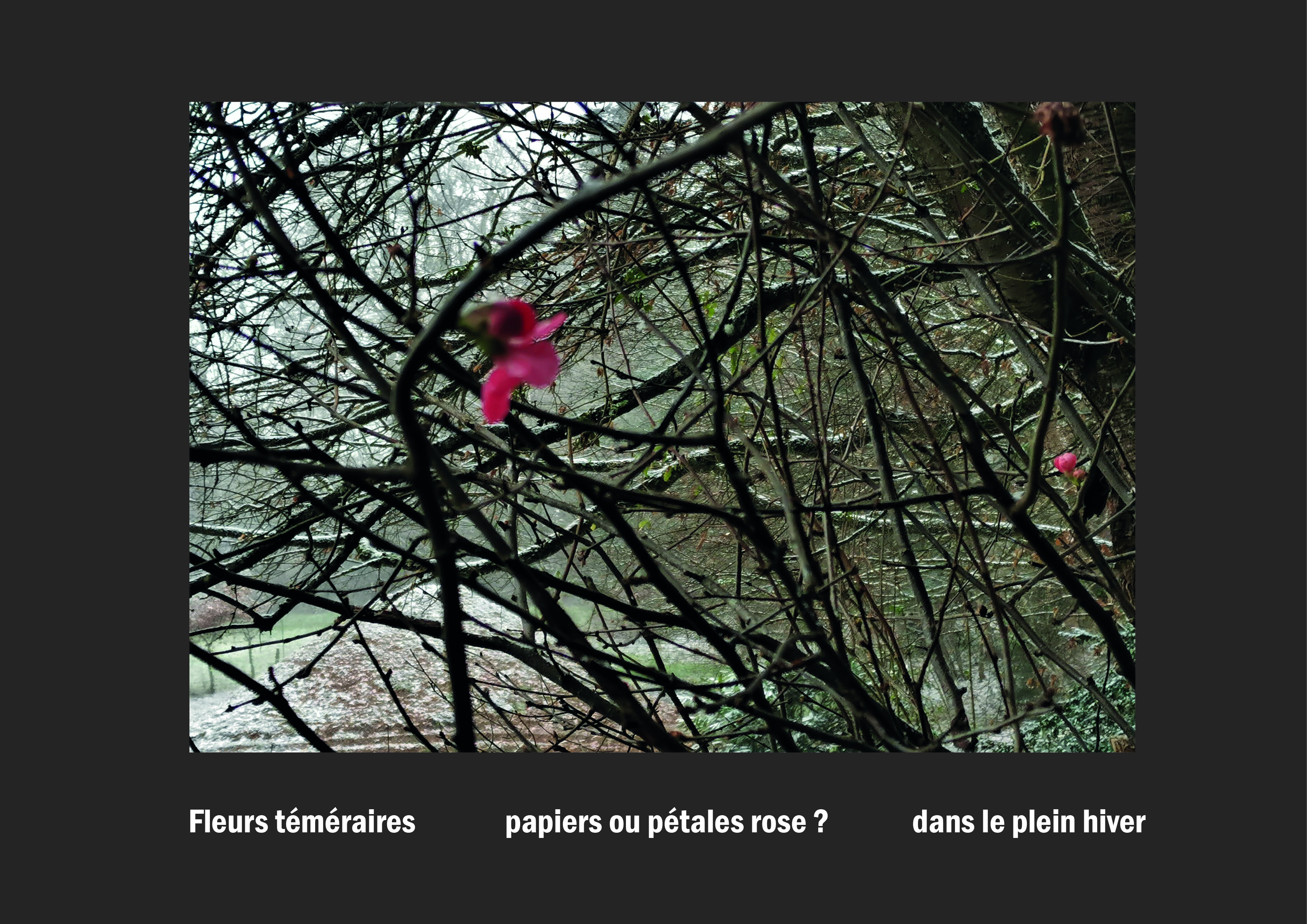 Cent vues du mont hitachi 2 web site45