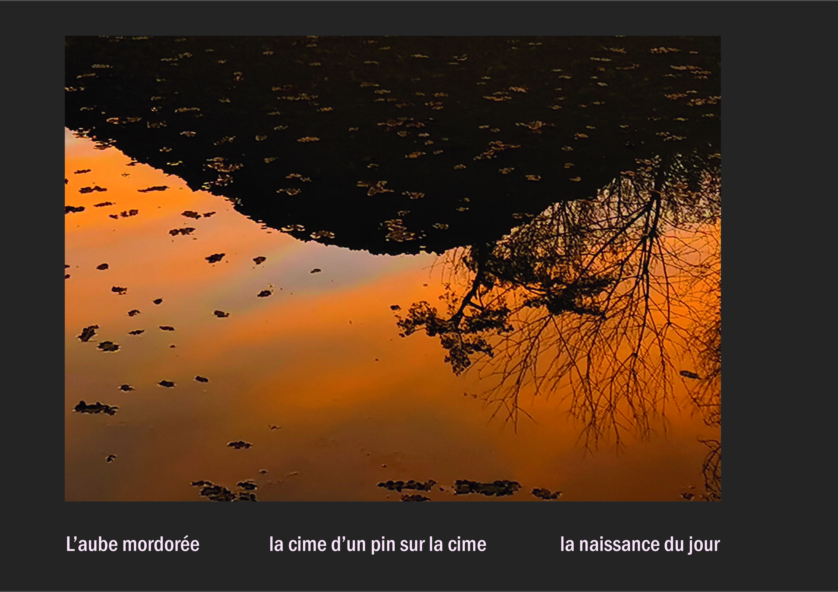 Cent vues du mont hitachi 2 web site41