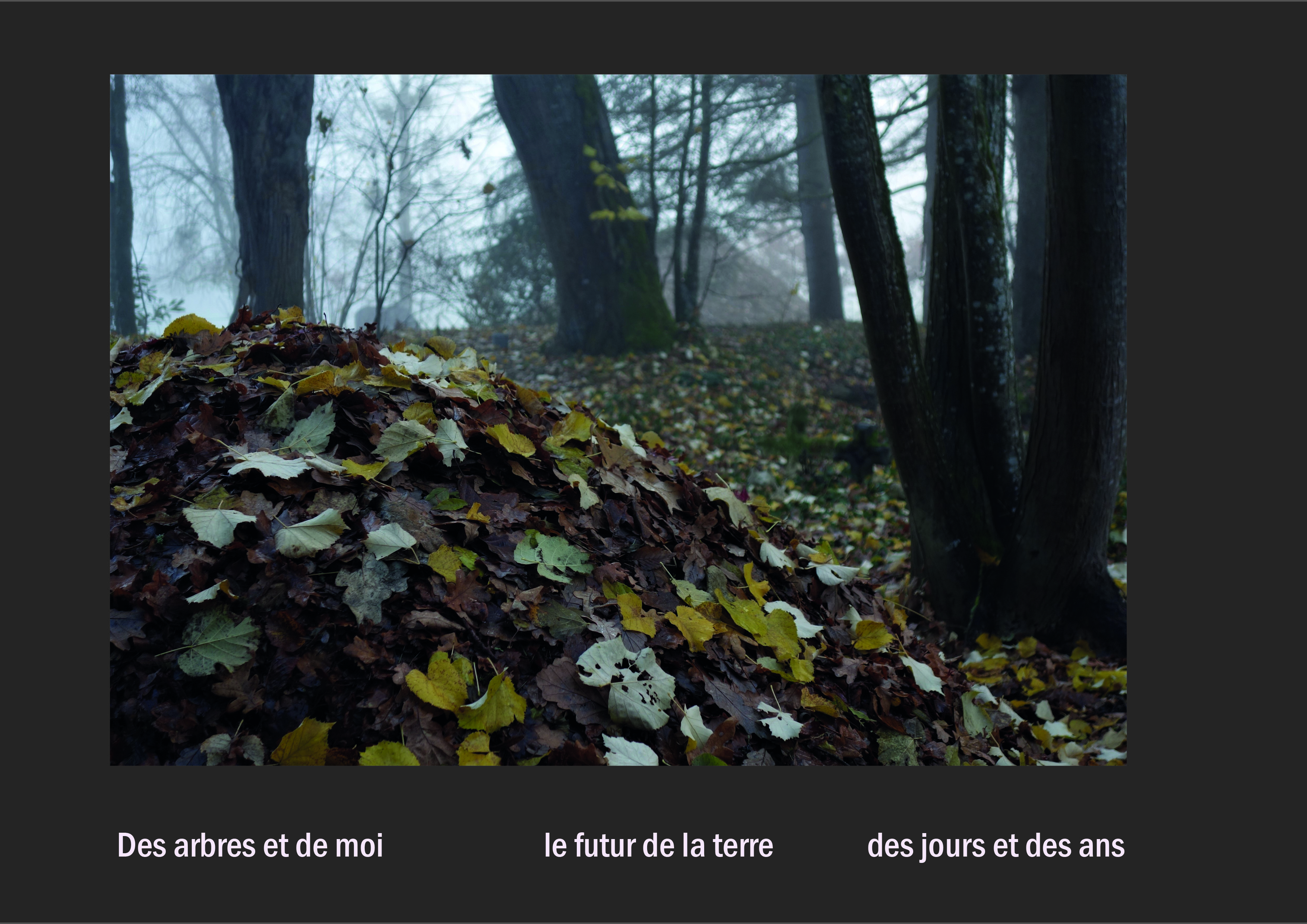 Cent vues du mont hitachi 2 web site37