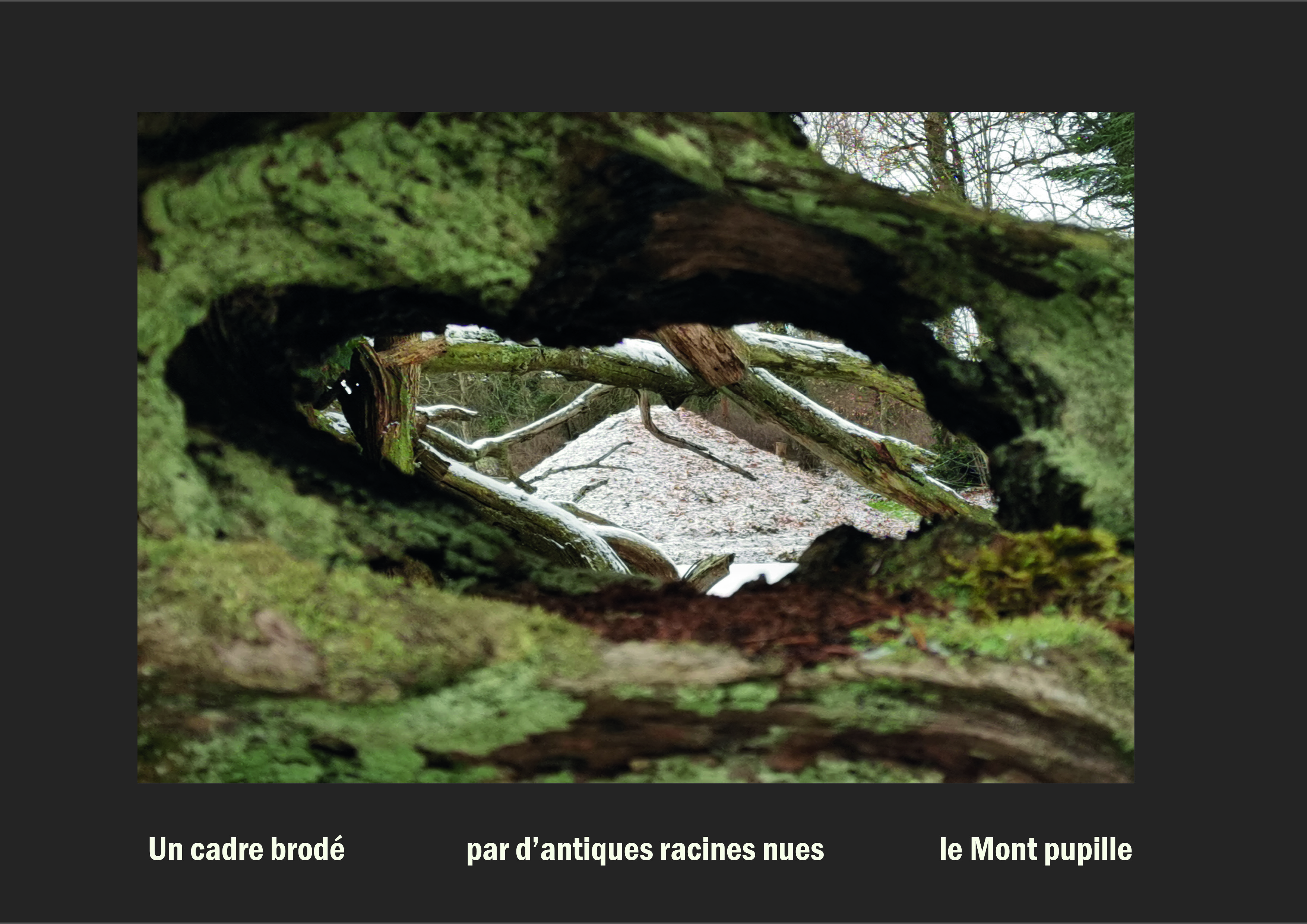 Cent vues du mont hitachi 2 web site63