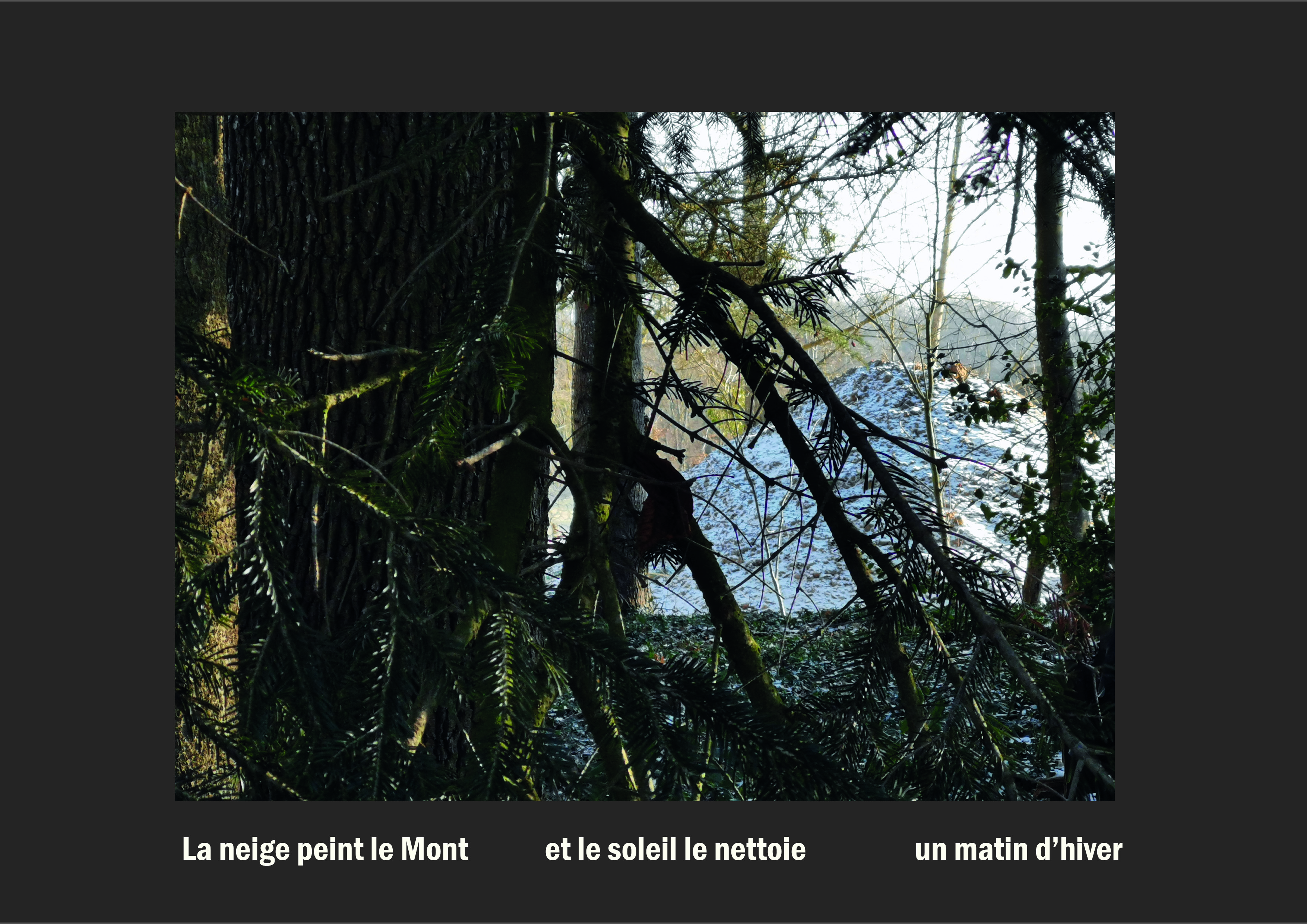 Cent vues du mont hitachi 2 web site62