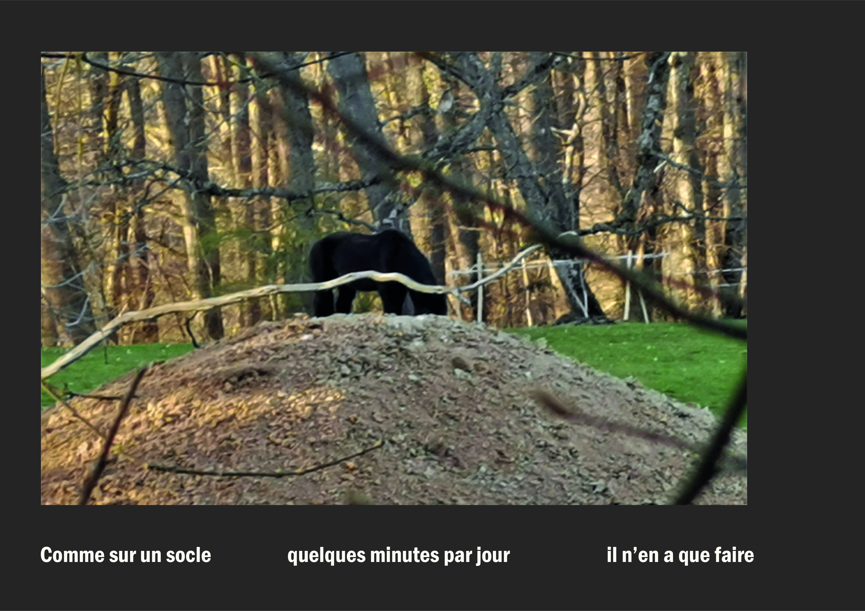 Cent vues du mont hitachi 2 web site77