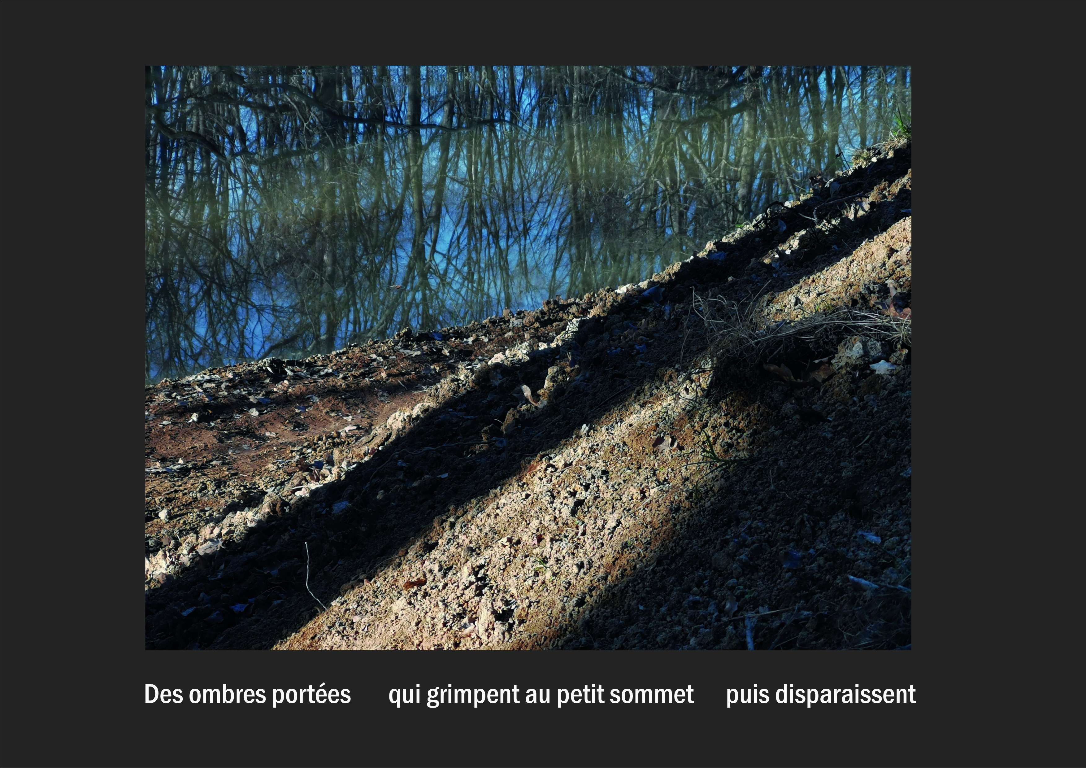 Cent vues du mont hitachi 2 web site76