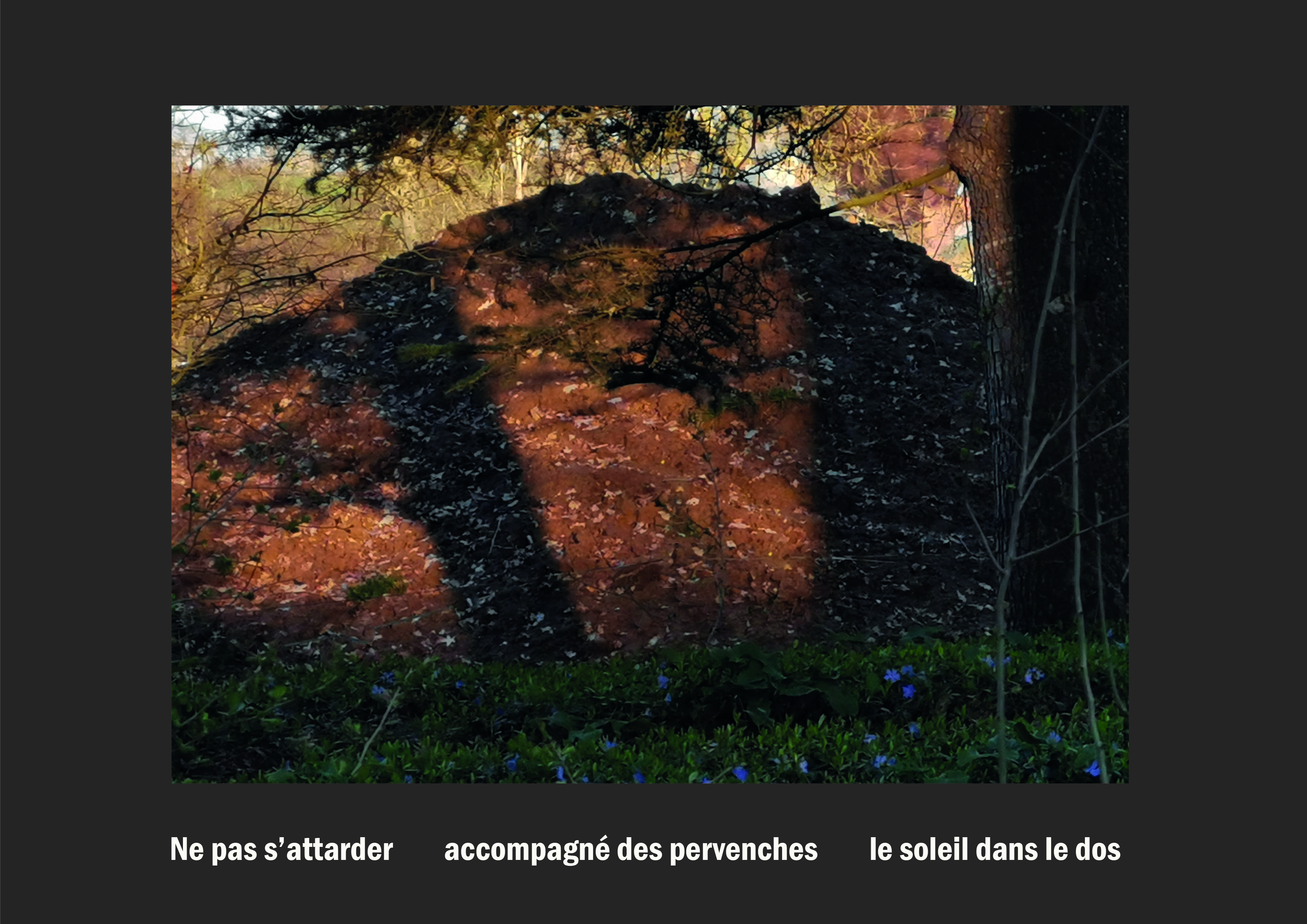 Cent vues du mont hitachi 2 web site74