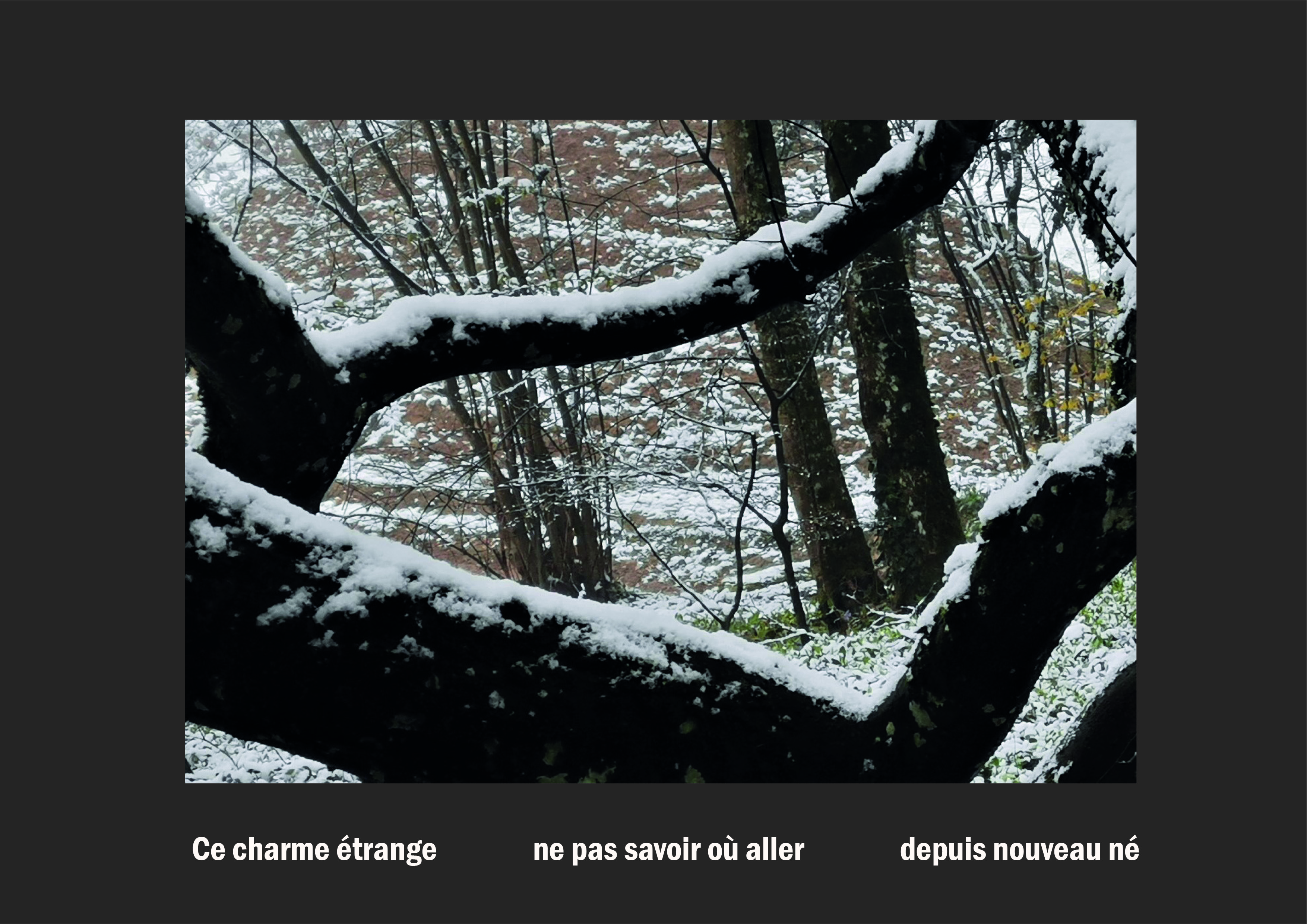 Cent vues du mont hitachi 2 web site73