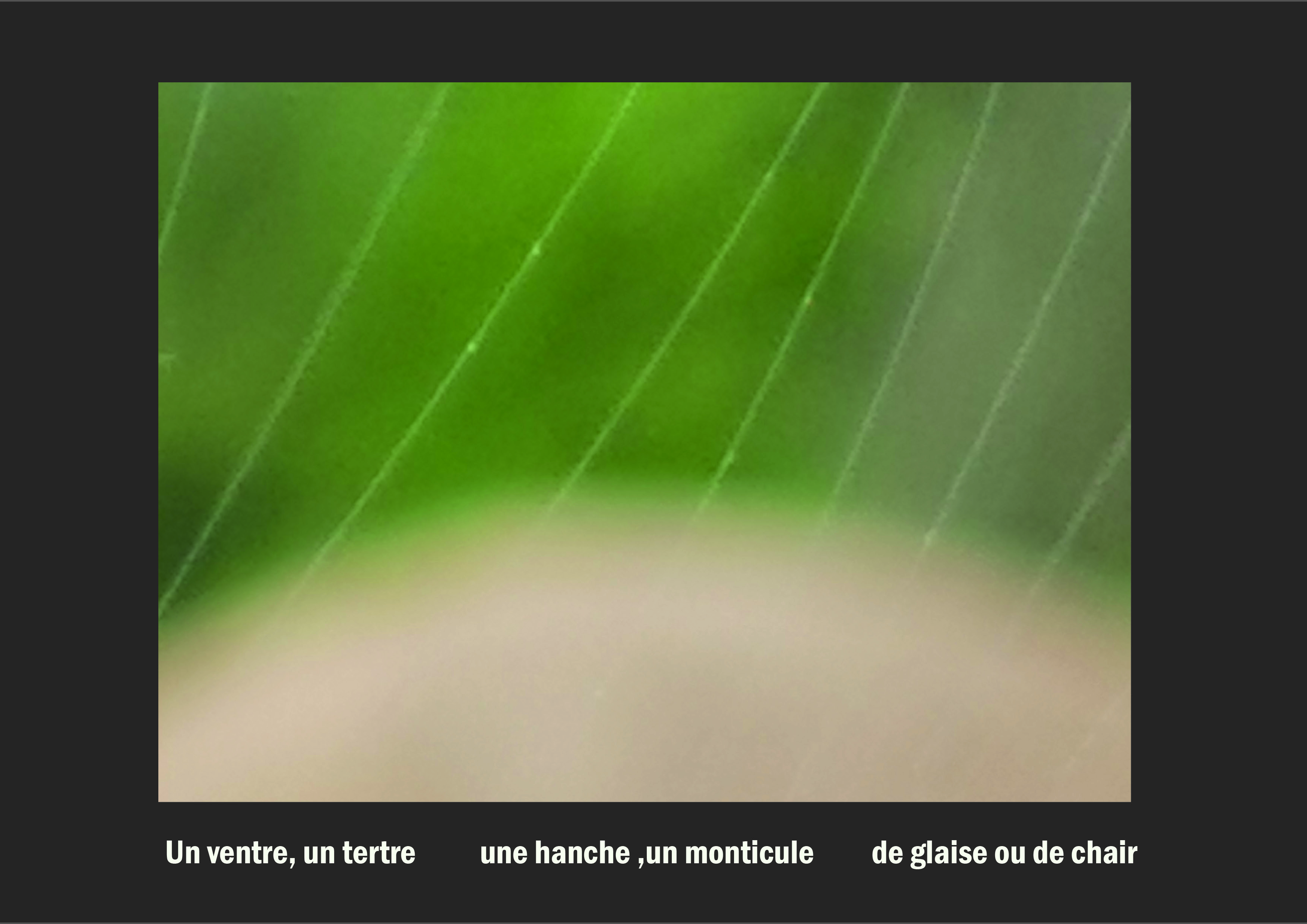 Cent vues du mont hitachi 2 web site95