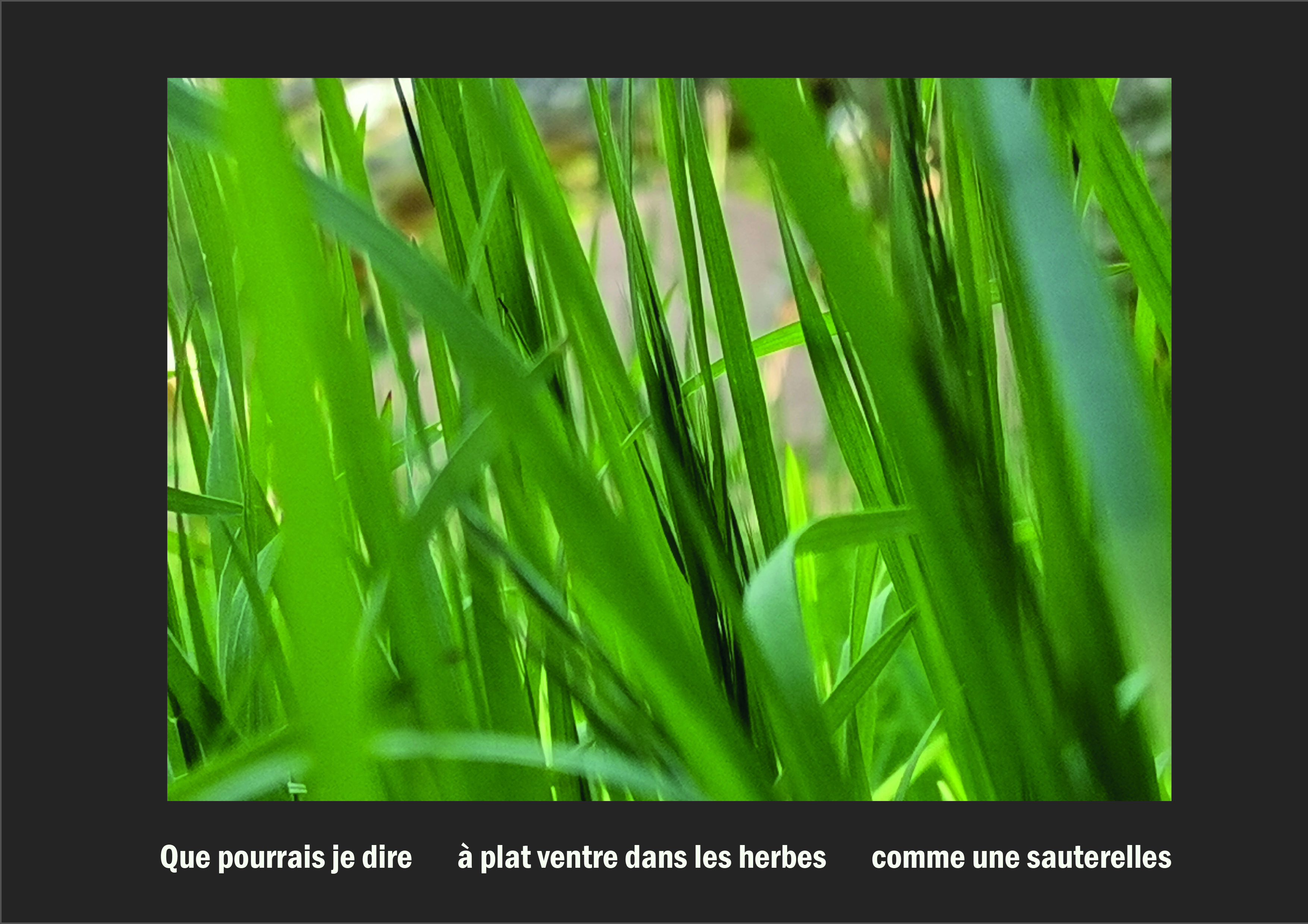 Cent vues du mont hitachi 2 web site94