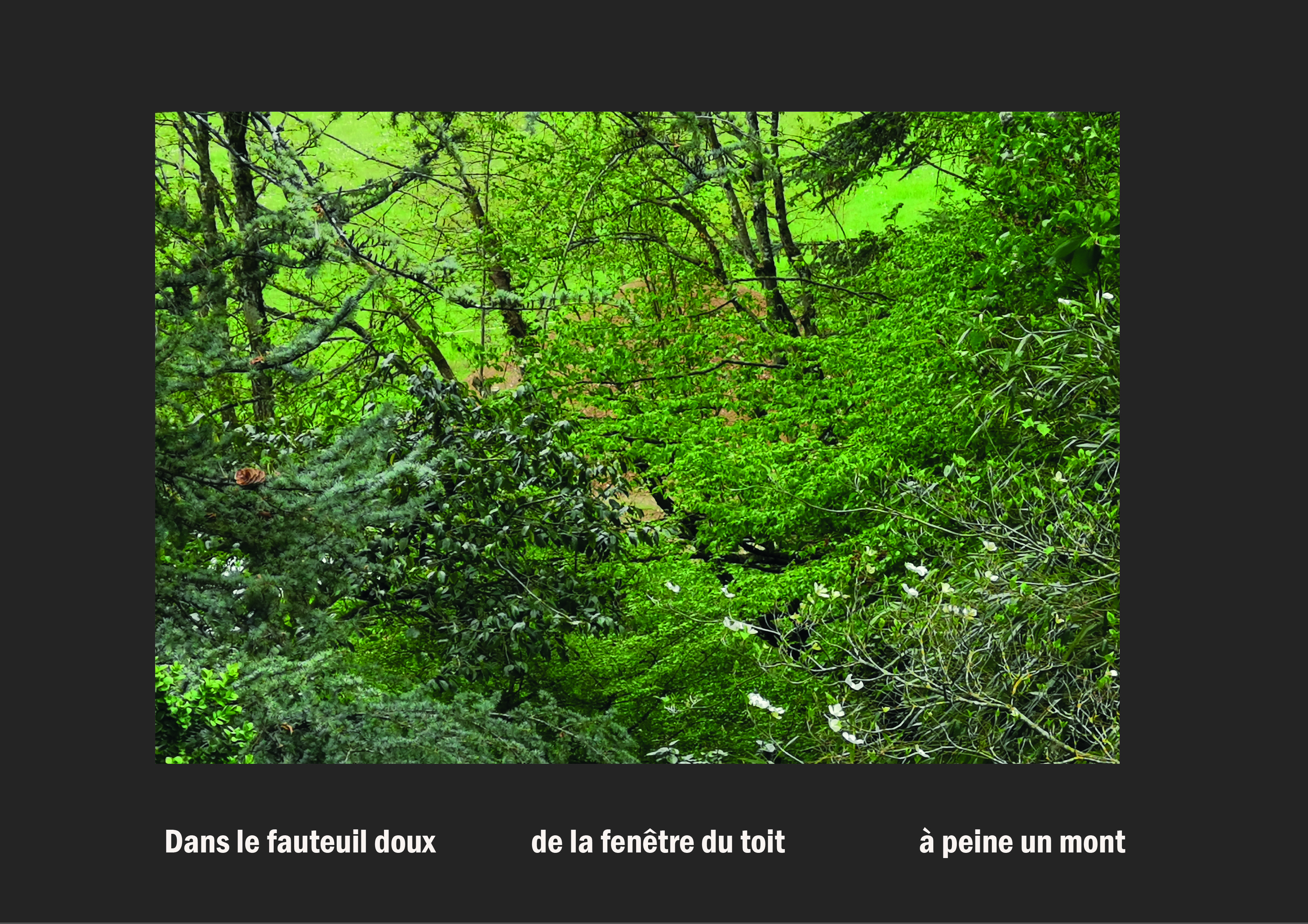Cent vues du mont hitachi 2 web site93
