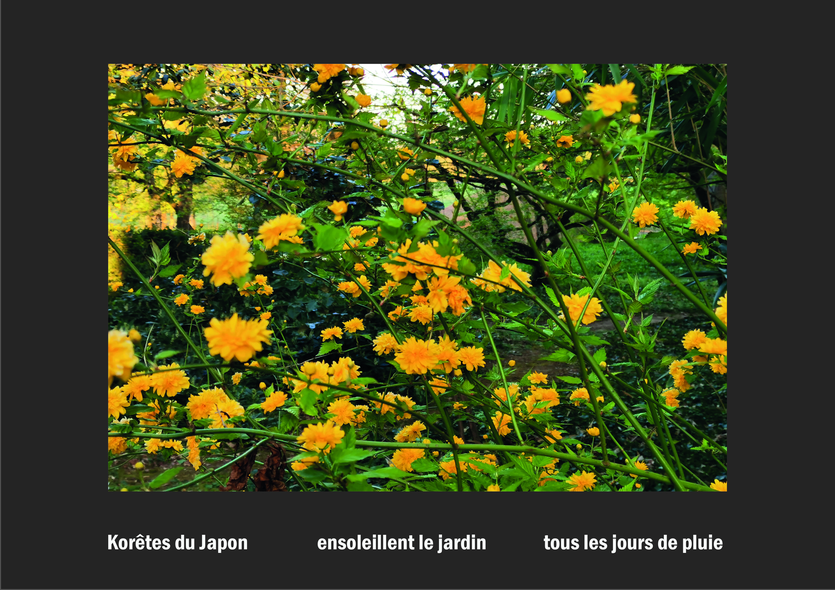 Cent vues du mont hitachi 2 web site92