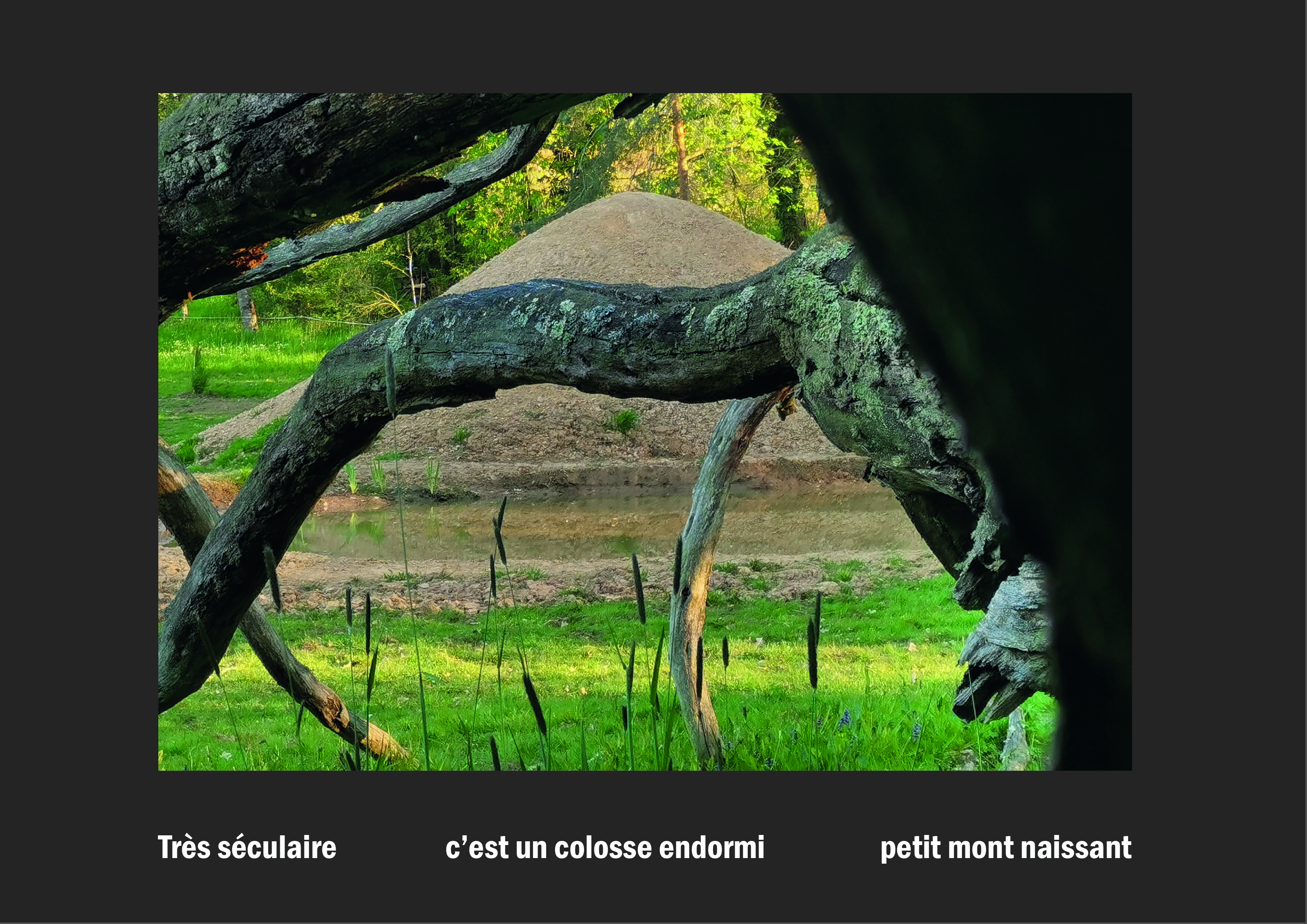 Cent vues du mont hitachi 2 web site91